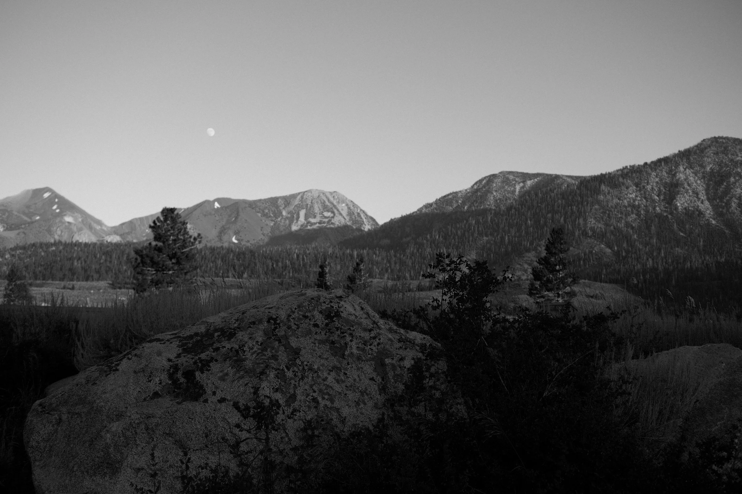 DSCF2190.JPG