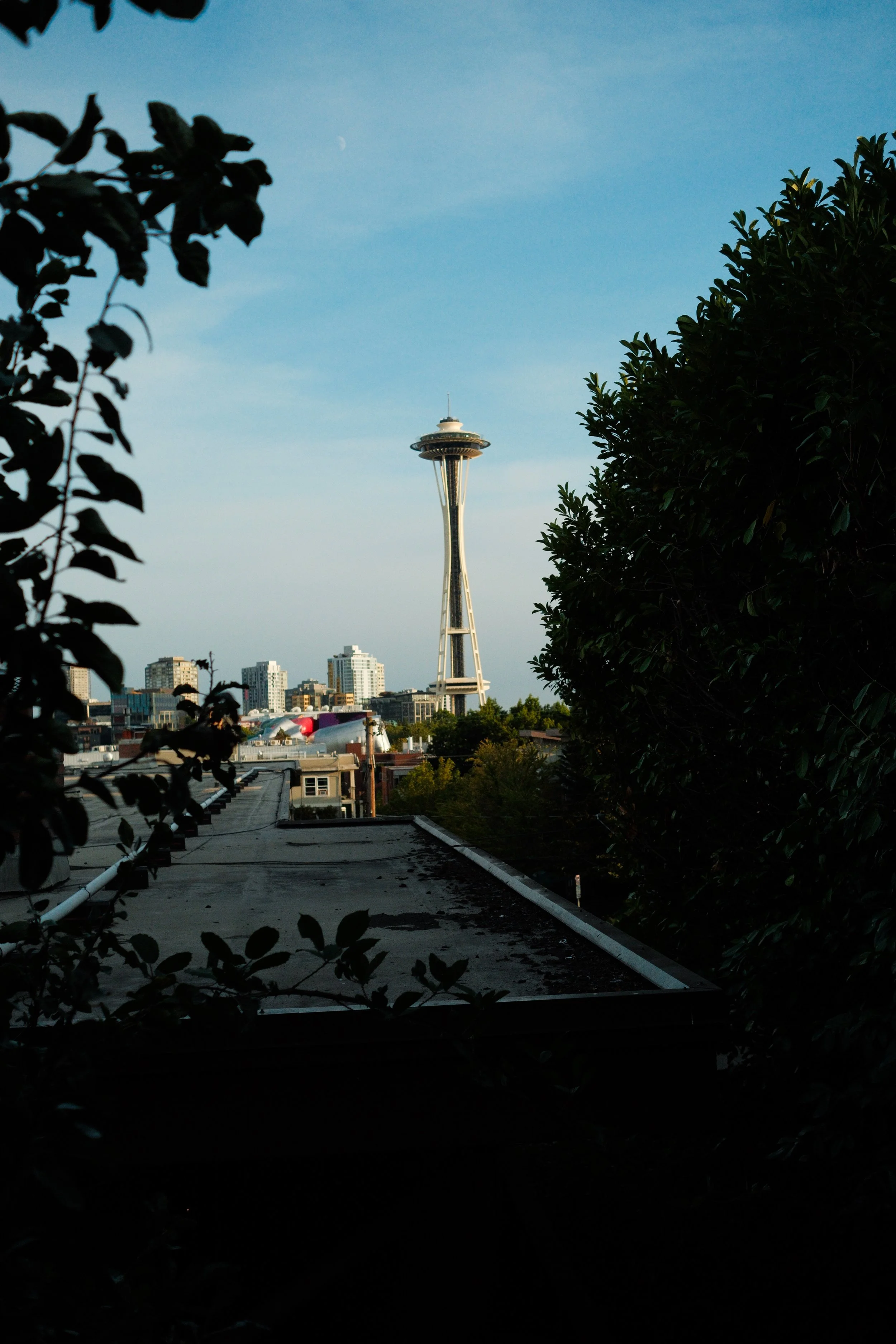 DSCF5342.JPG