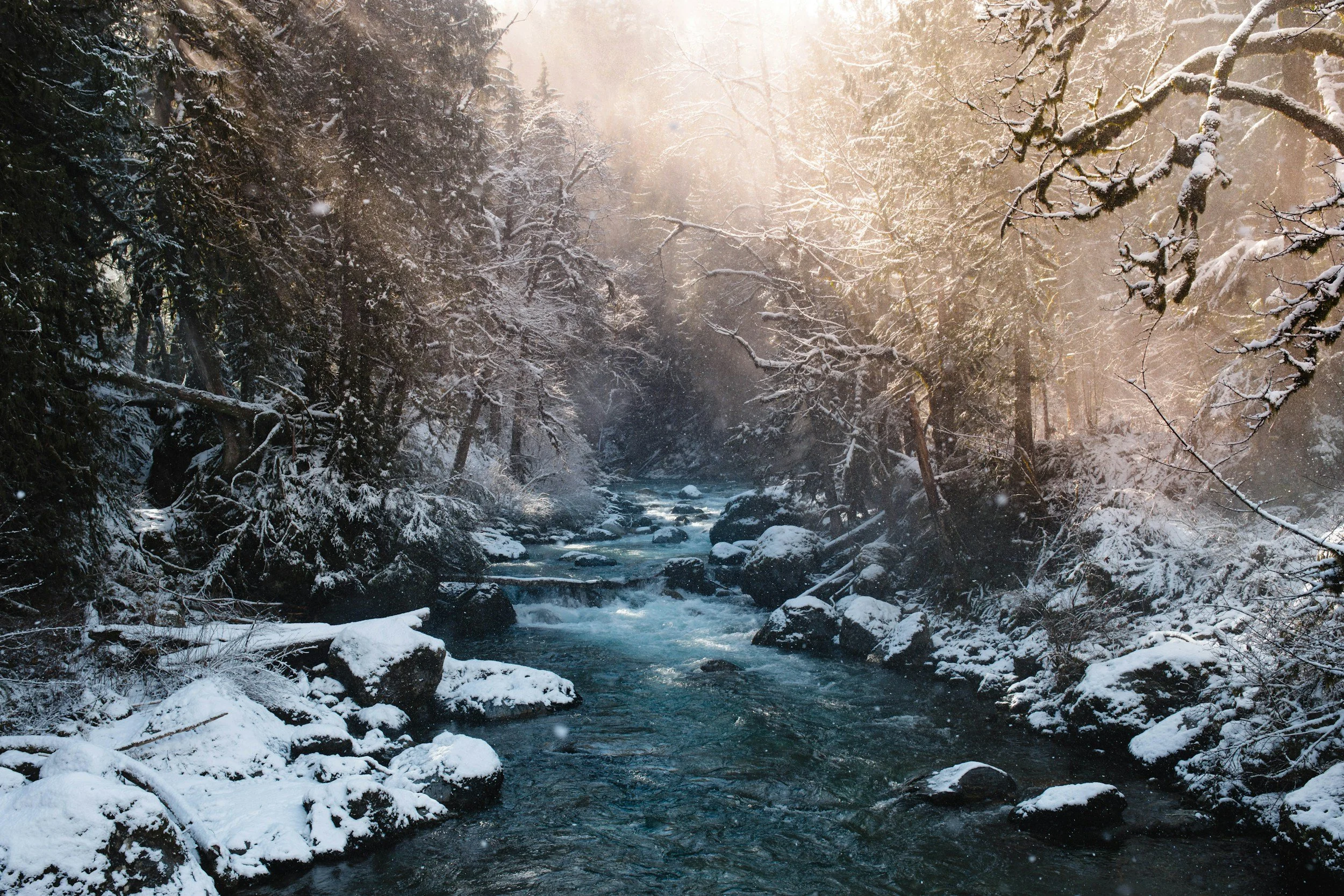 🌫️ How to Homeschool Through the Winter Blues 🥲