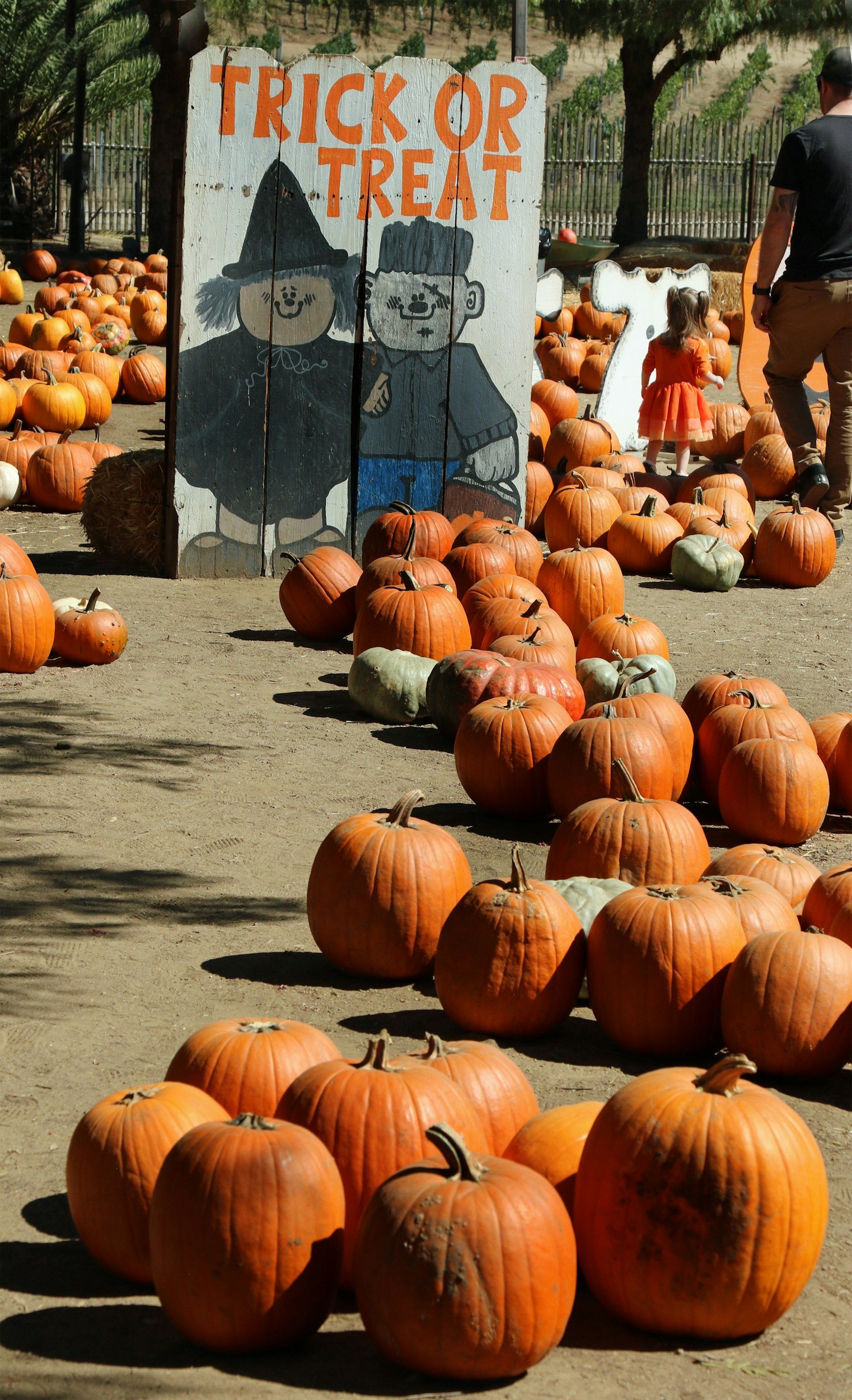 100 Free Activities for Homeschool Families This Fall 🍂