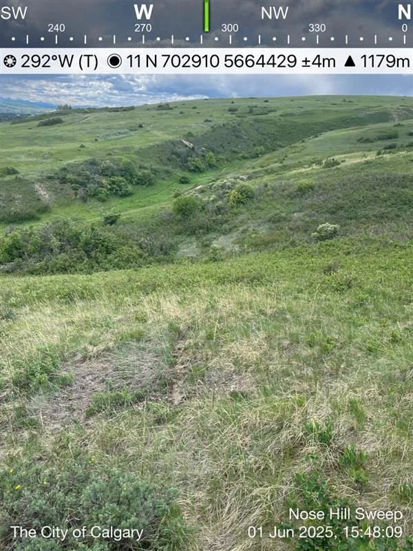 A landscape view of rolling green hills with grass and small bushes under a partly cloudy sky, taken from a camera with a compass and coordinate overlay, indicating directions and location near Nose Hill in Calgary, Alberta, Canada.