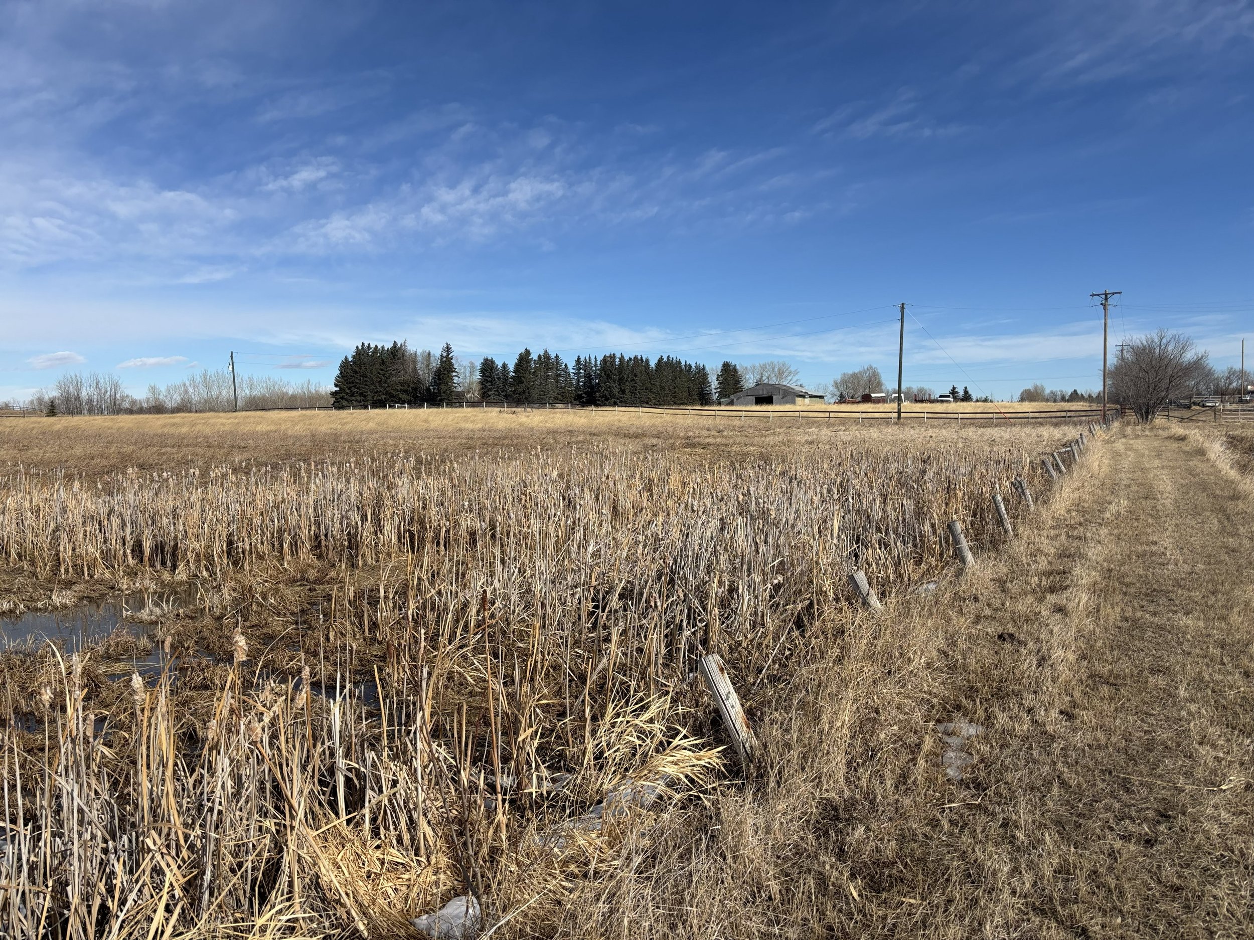 A rural landscape with a body of water, green grass, and a blue sky with fluffy white clouds, taken during the daytime.