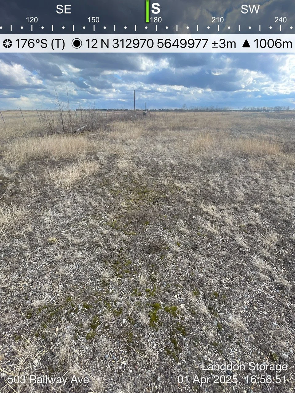 Open field with sparse dry grass, scattered small rocks, and patches of moss, under a partly cloudy sky. There are distant utility poles and fencing visible.