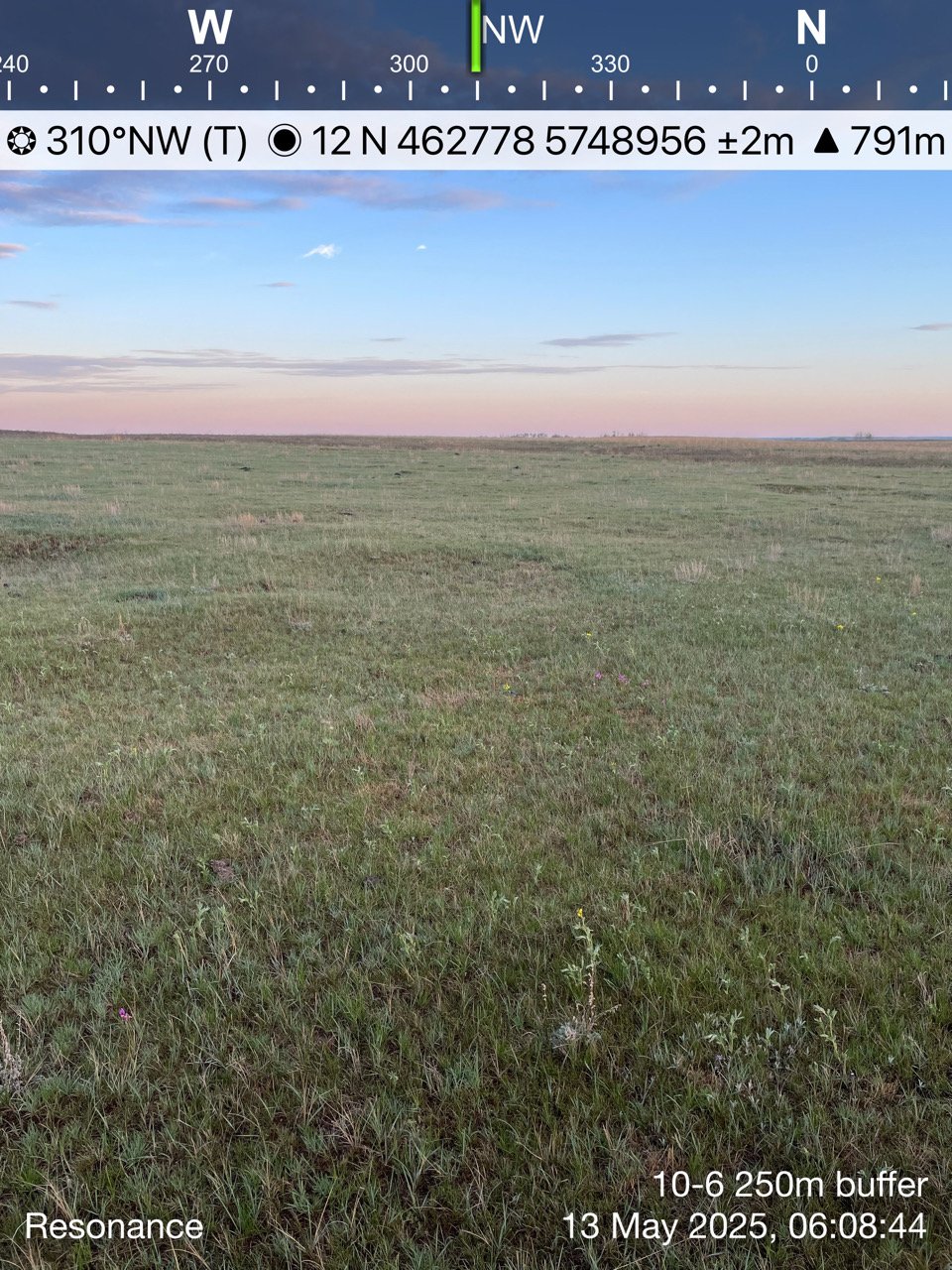 Open grassy field under a clear sky with a few scattered clouds, with a horizon line and sparse distant trees.