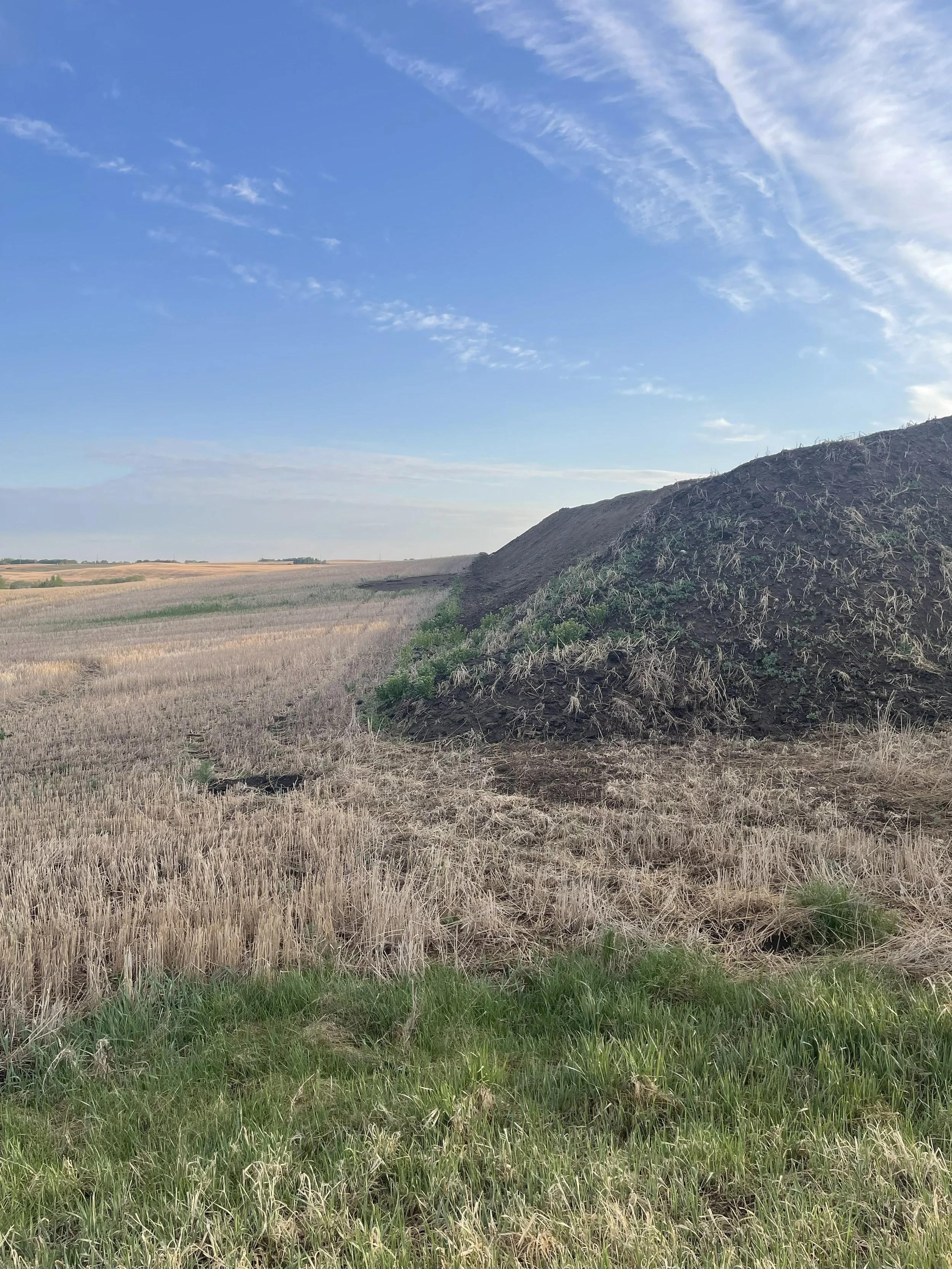 A large mound of dirt and soil in a rural field with dry grass, under a partly cloudy blue sky.
