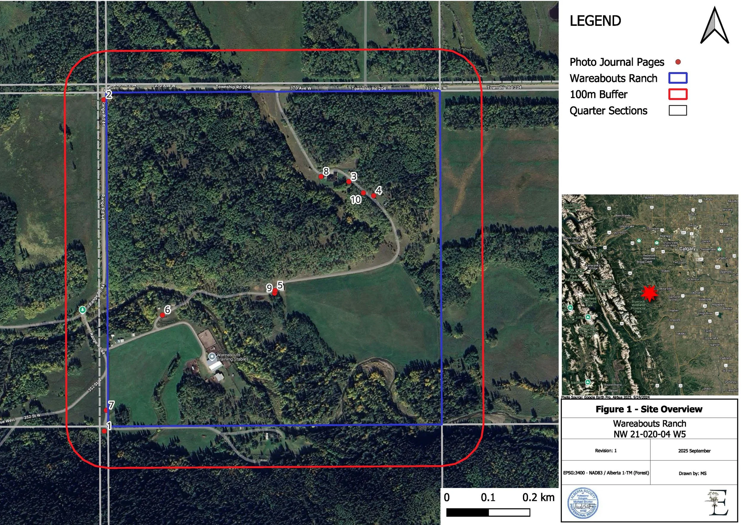 A close-up of financial documents and stock charts on a printed sheet of paper, with a focus on a chart showing stock performance over several years.