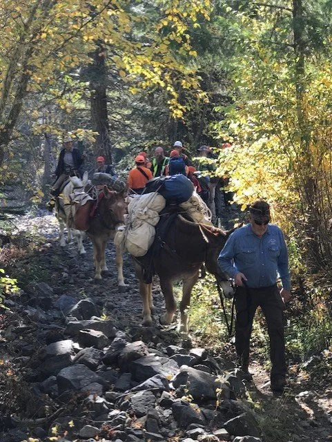 Mock Search 2  2022.jpg