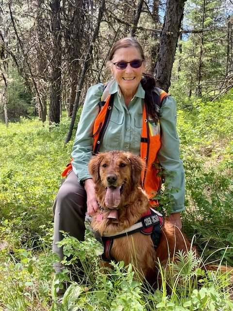 Holly_K9Cider Airscent test.jpeg