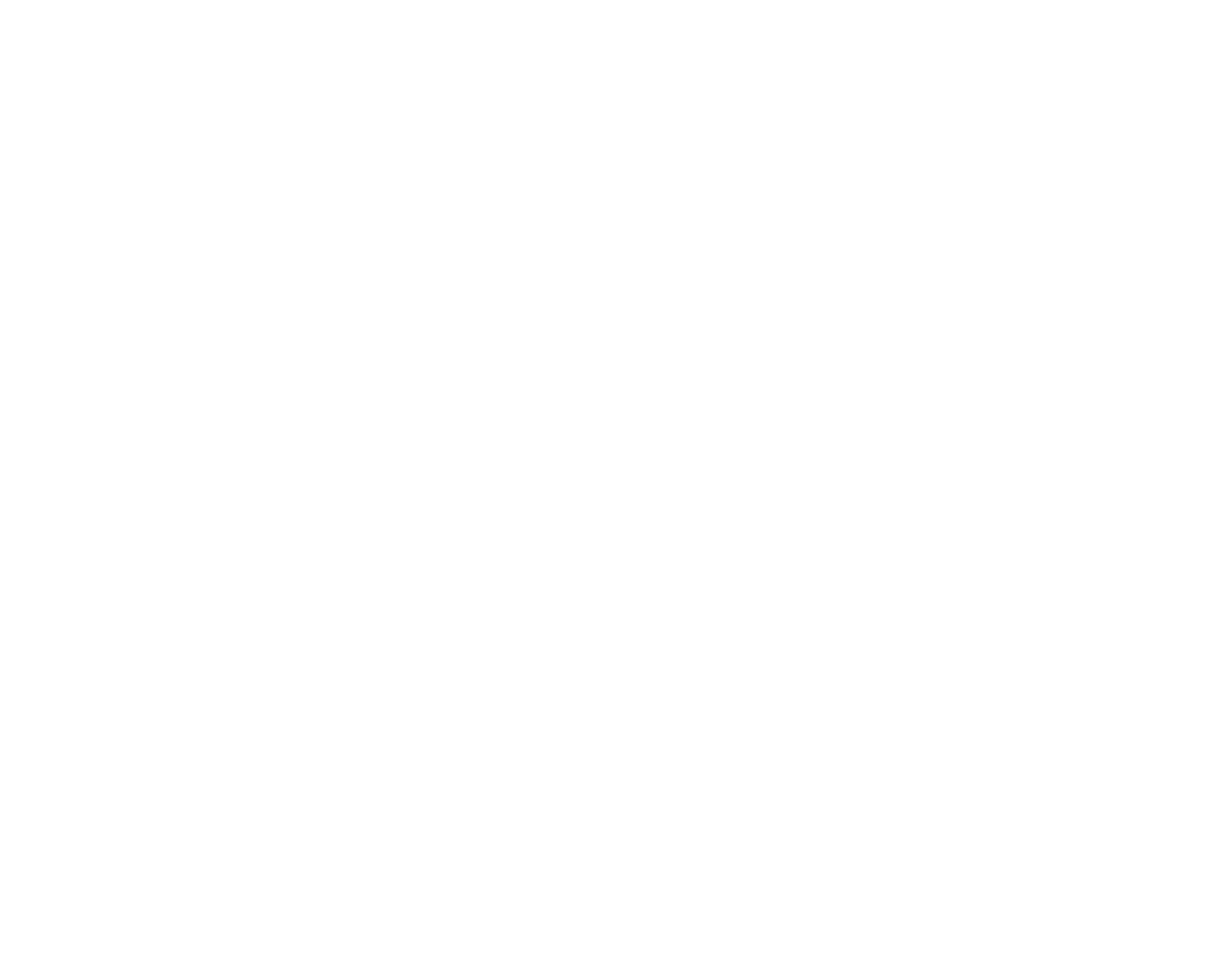 Team Health Network logo white.png
