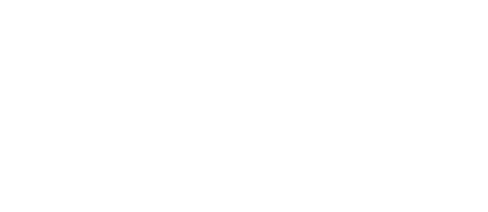 ACE_2019_White_logo - Jennifer Irwin.png