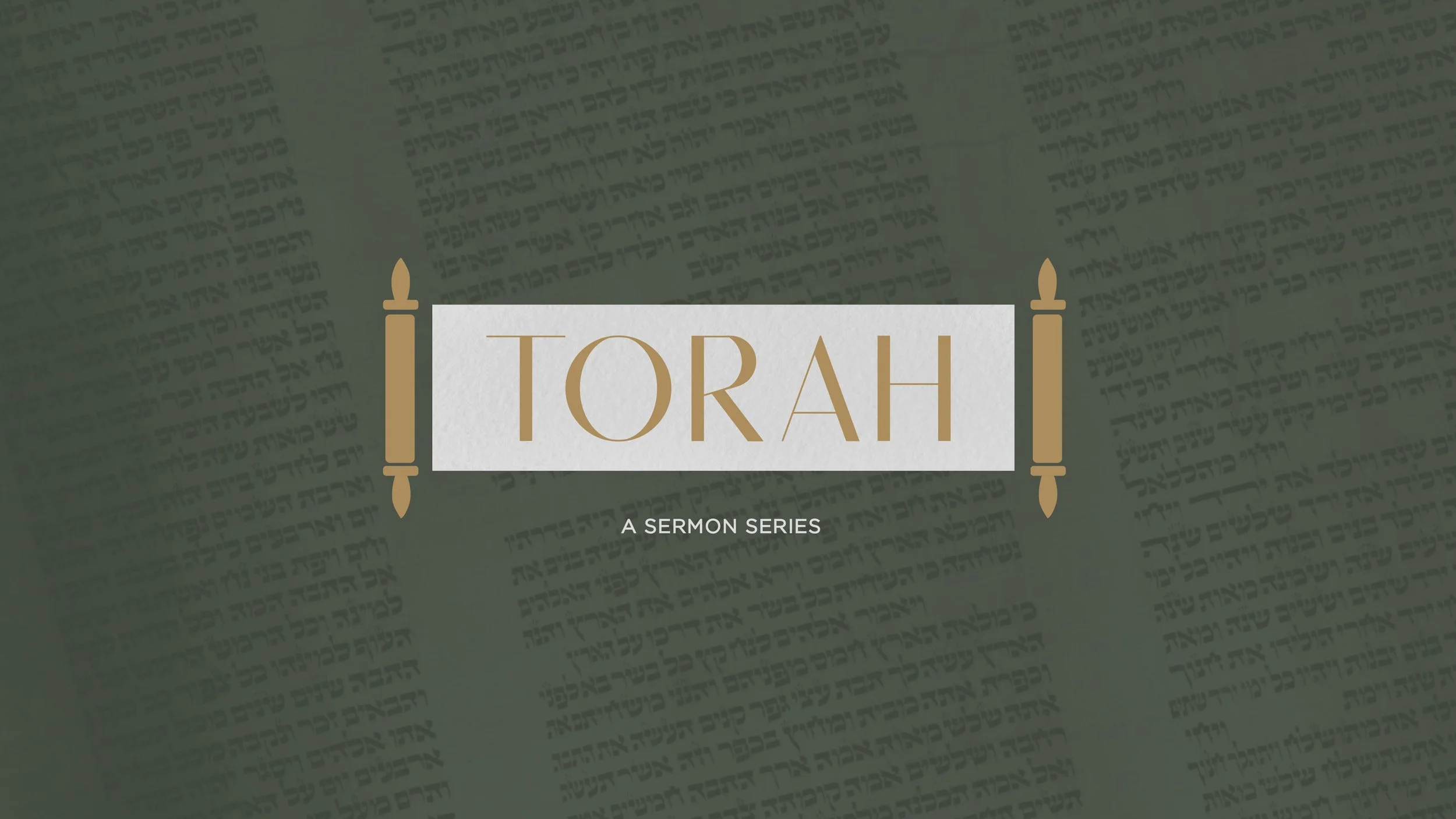 Torah Series
