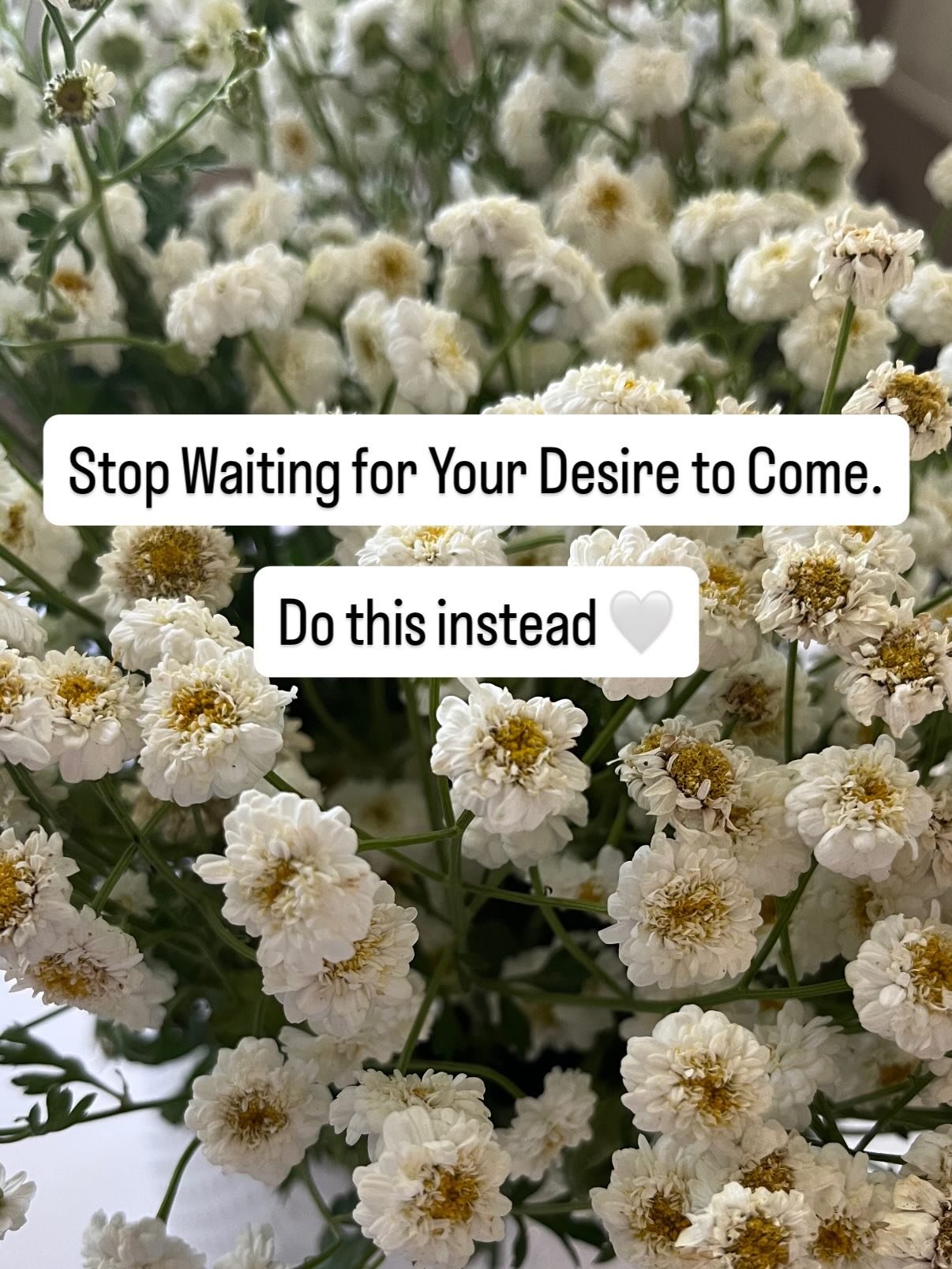 We were taught (myself included 🙋&zwj;♀️) that desire means waiting, the idea that something is coming later if we&rsquo;re patient enough.

But life doesn&rsquo;t respond to waiting. That only creates more waiting. Life responds to identity, who we