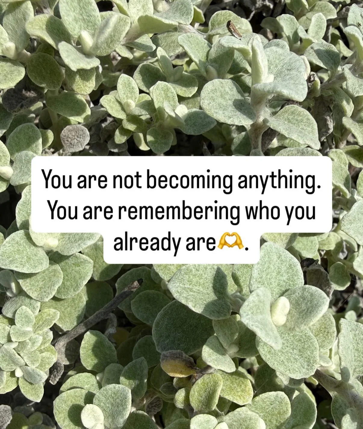 So many of us believe that our potential lives somewhere in the future. After more healing, more discipline, certainty, or proof. But our potential doesn&rsquo;t work that way.

Remember that an apple seed already contains an infinite number of trees