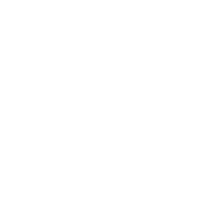 SAL Consulting Organisational Development Icon - Depicts a line icon a person standing in front of a whiteboard, pointing towards a simple diagram.