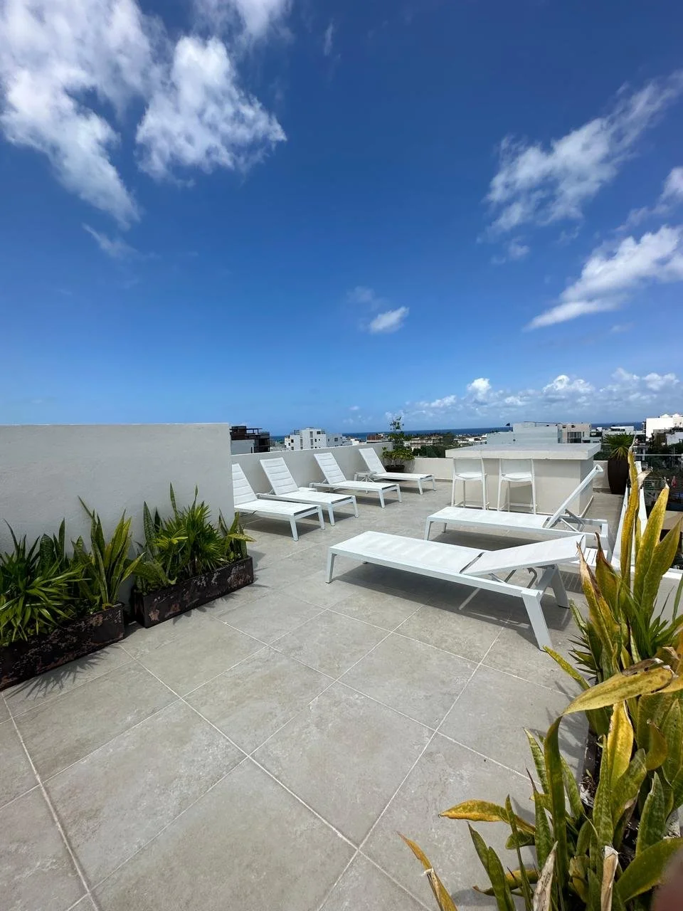 WhatsApp Image 2024-10-07 at 5.51.31 PM (5).jpeg