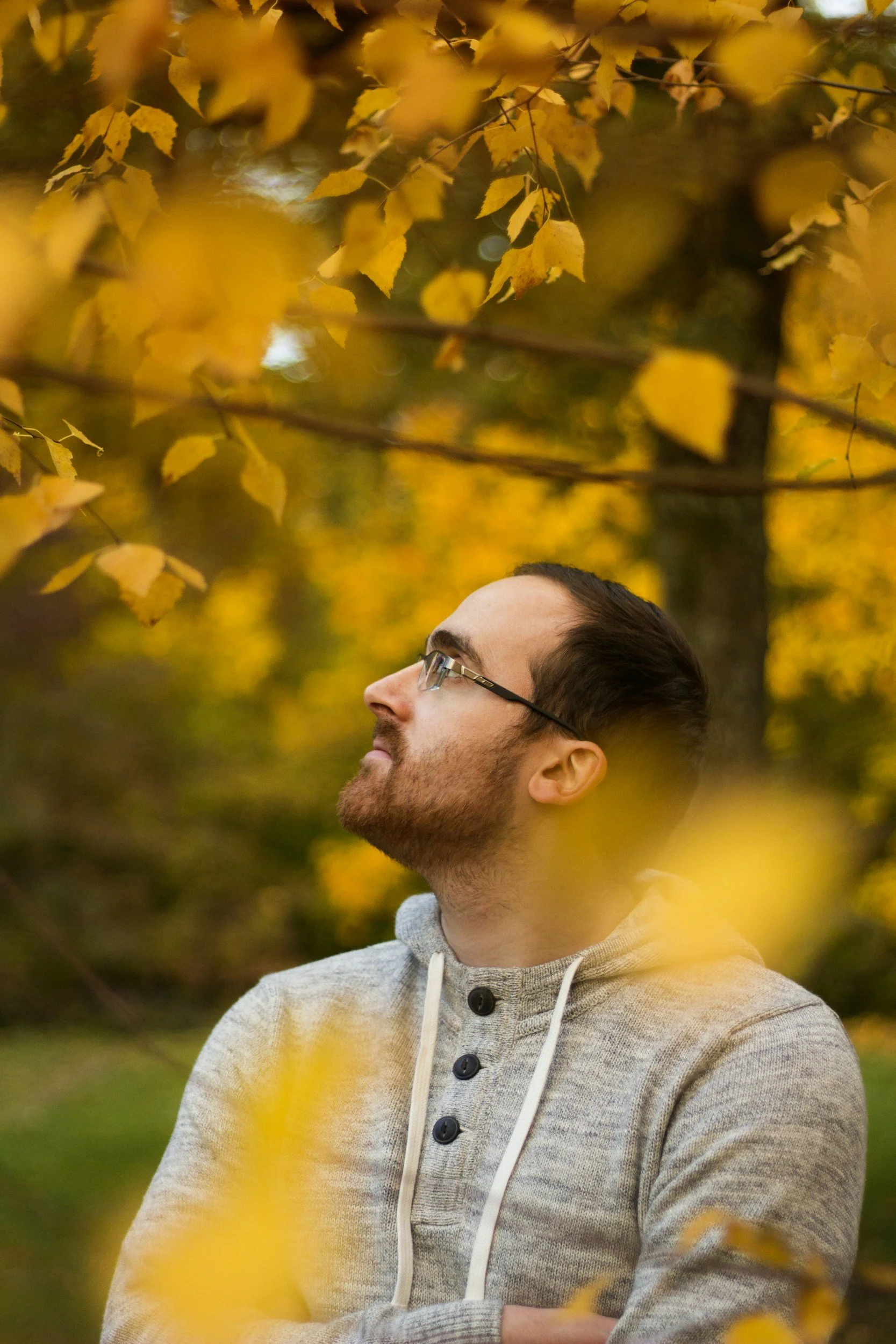 A man with glasses and a beard stands in a park or forest with yellow autumn leaves, gazing upward.