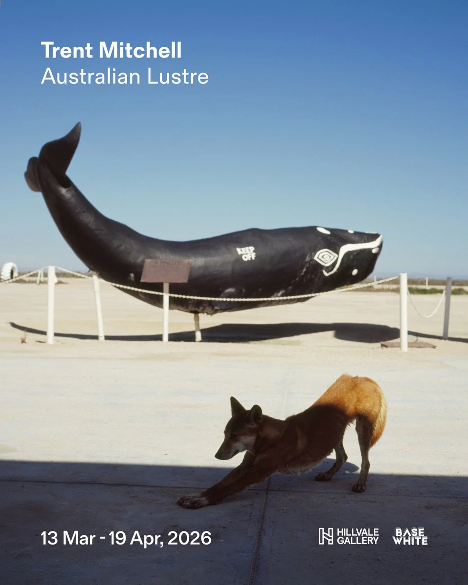 Trent Mitchell — Australian Lustre