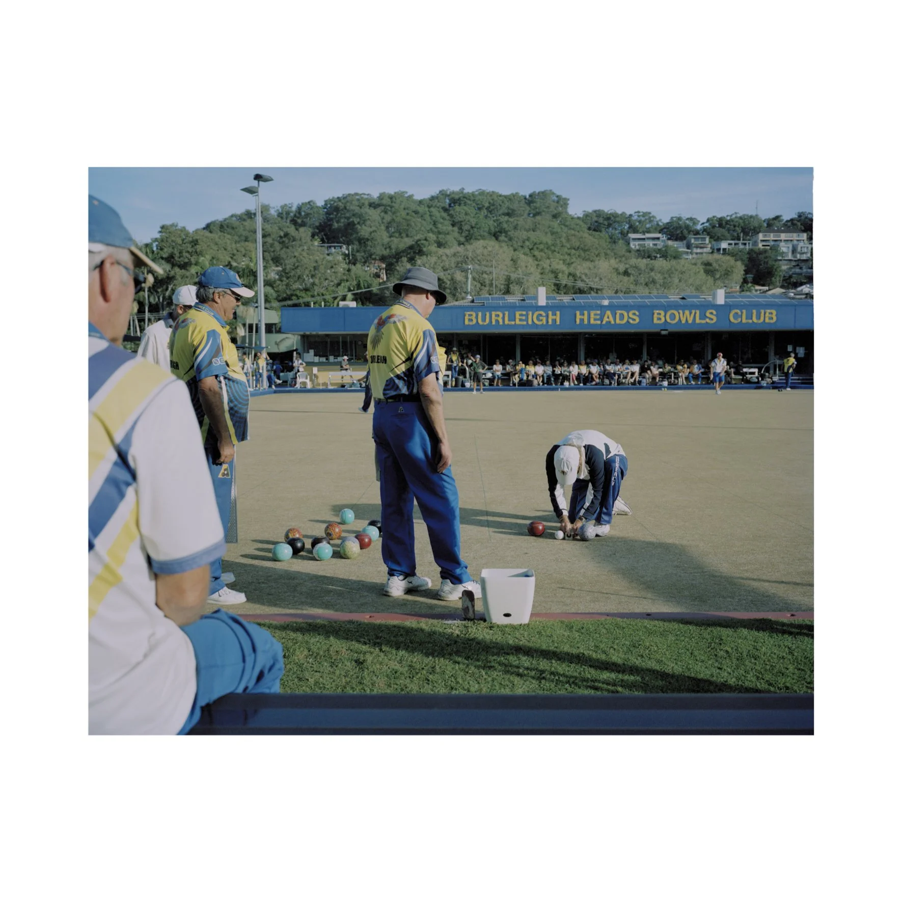 Australian Lustre 23