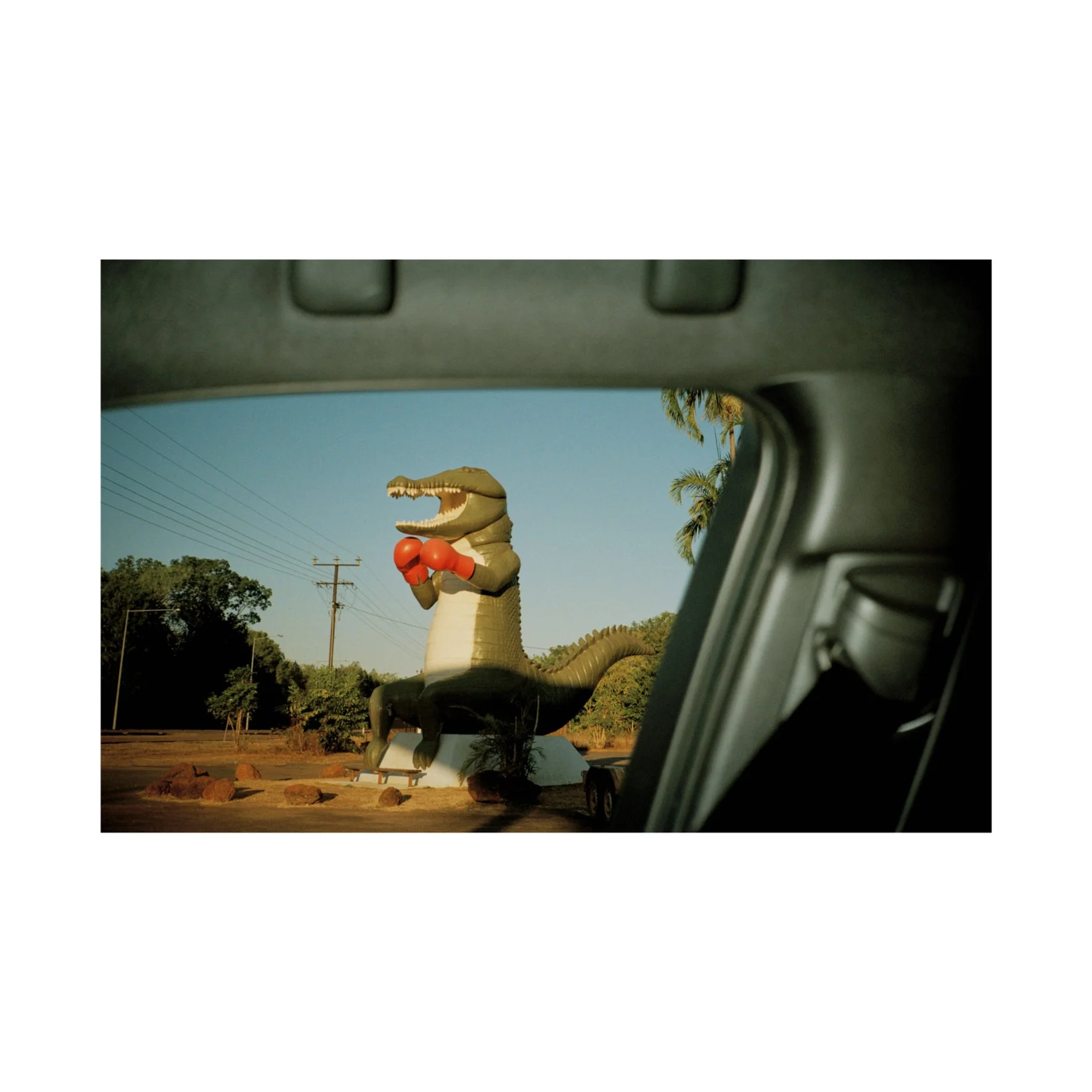 Australian Lustre 51