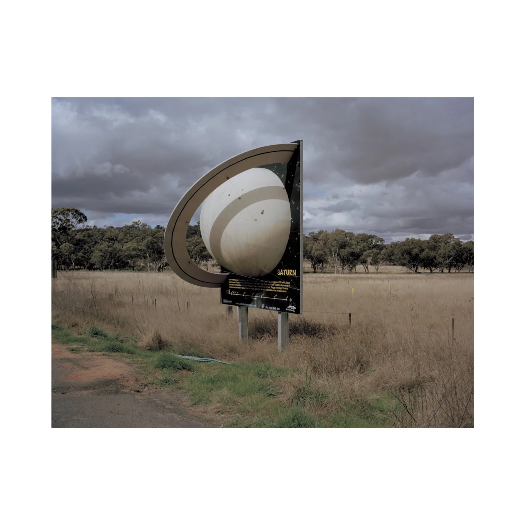 Australian Lustre 14