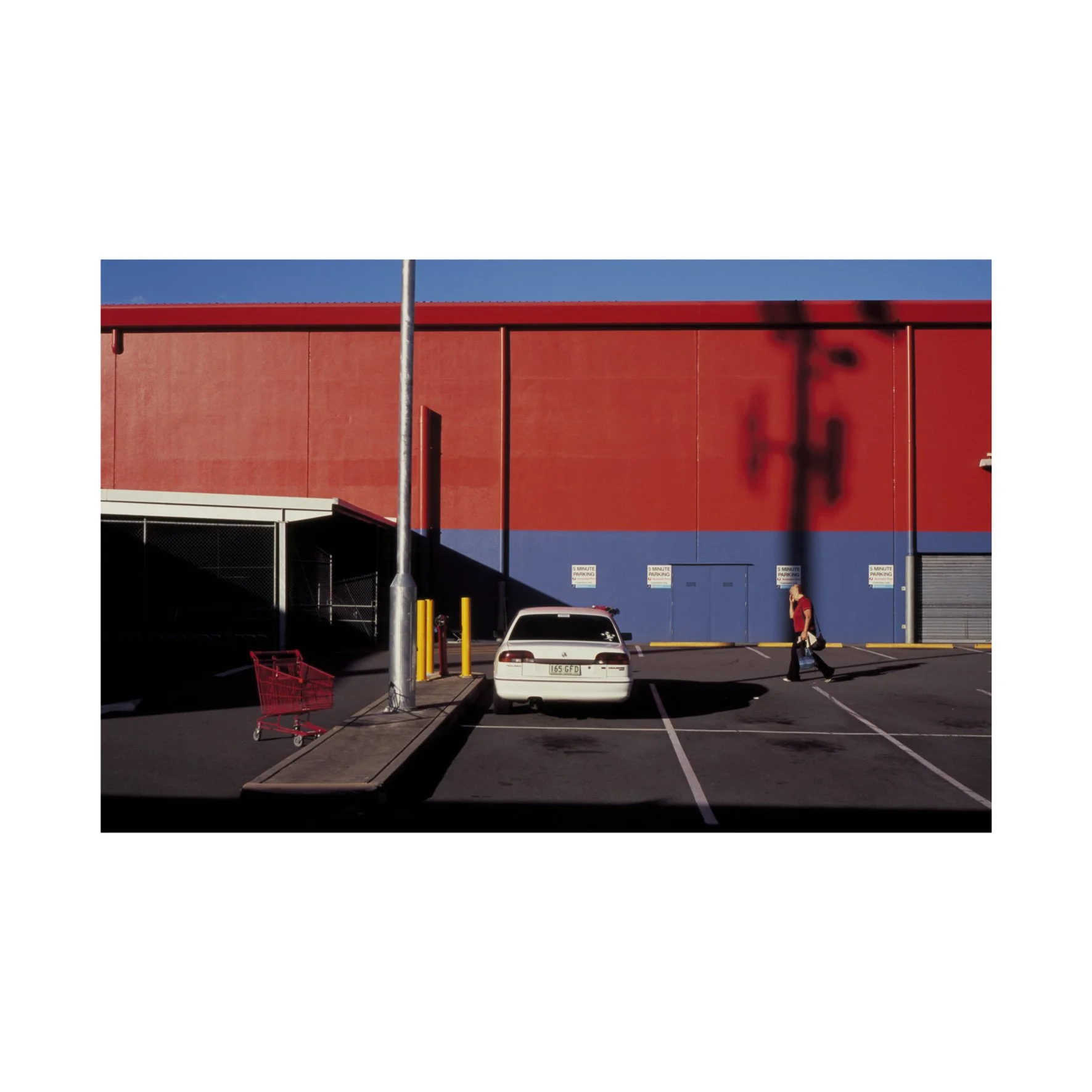 Australian Lustre 52