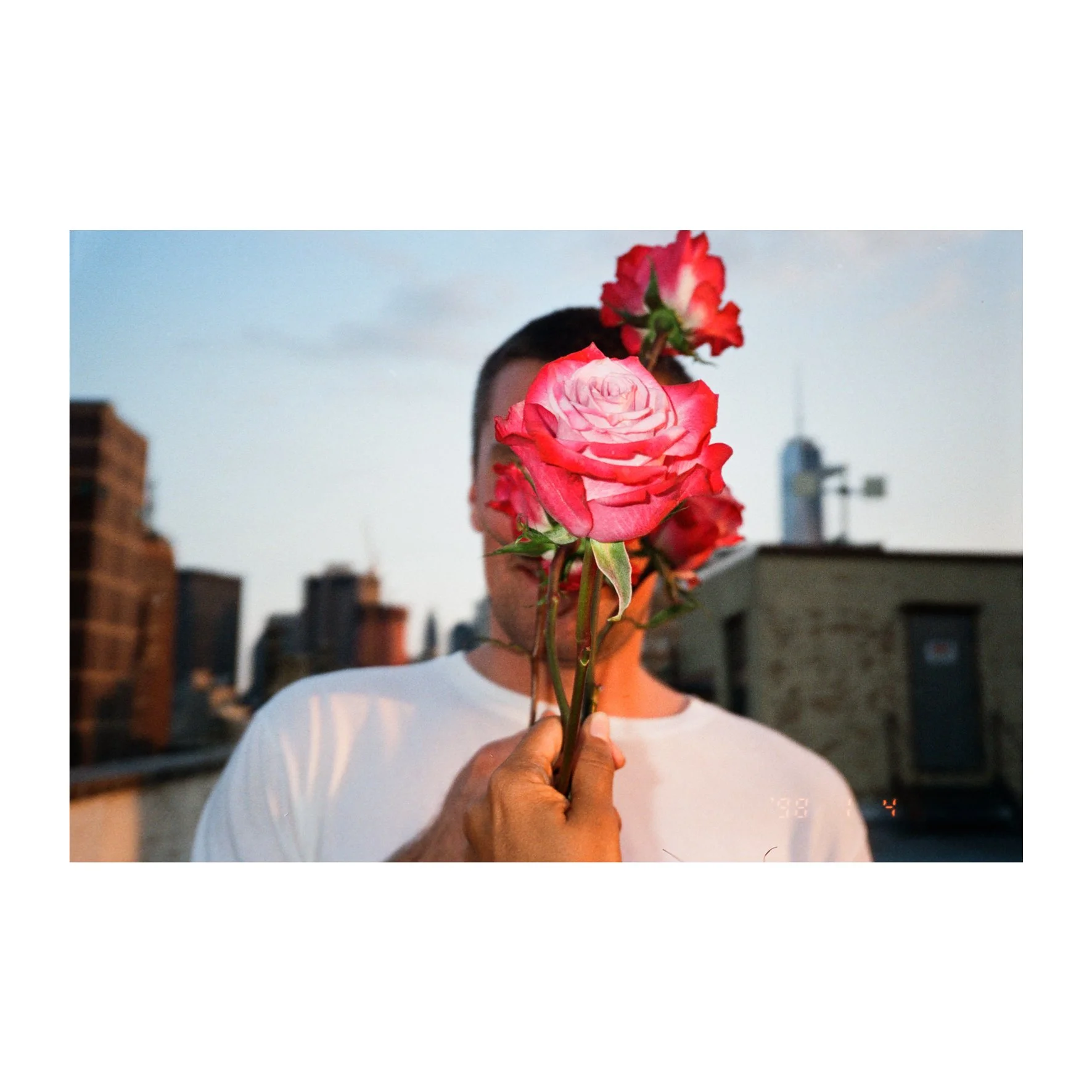 Bodega Roses, 2012