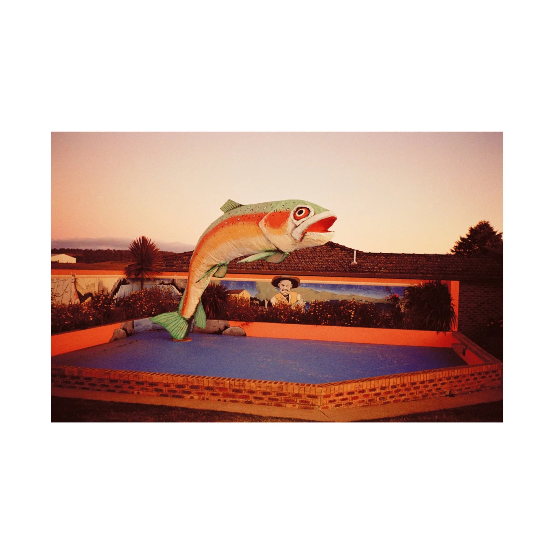 Australian Lustre 44