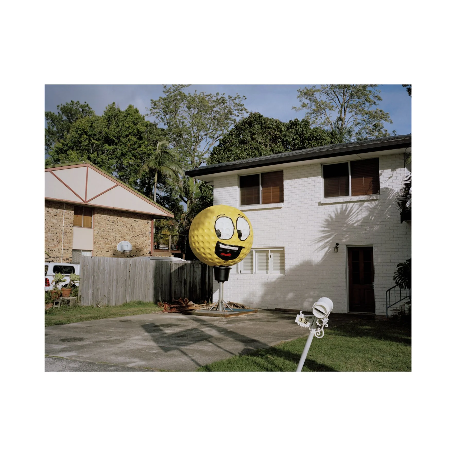 Australian Lustre 41