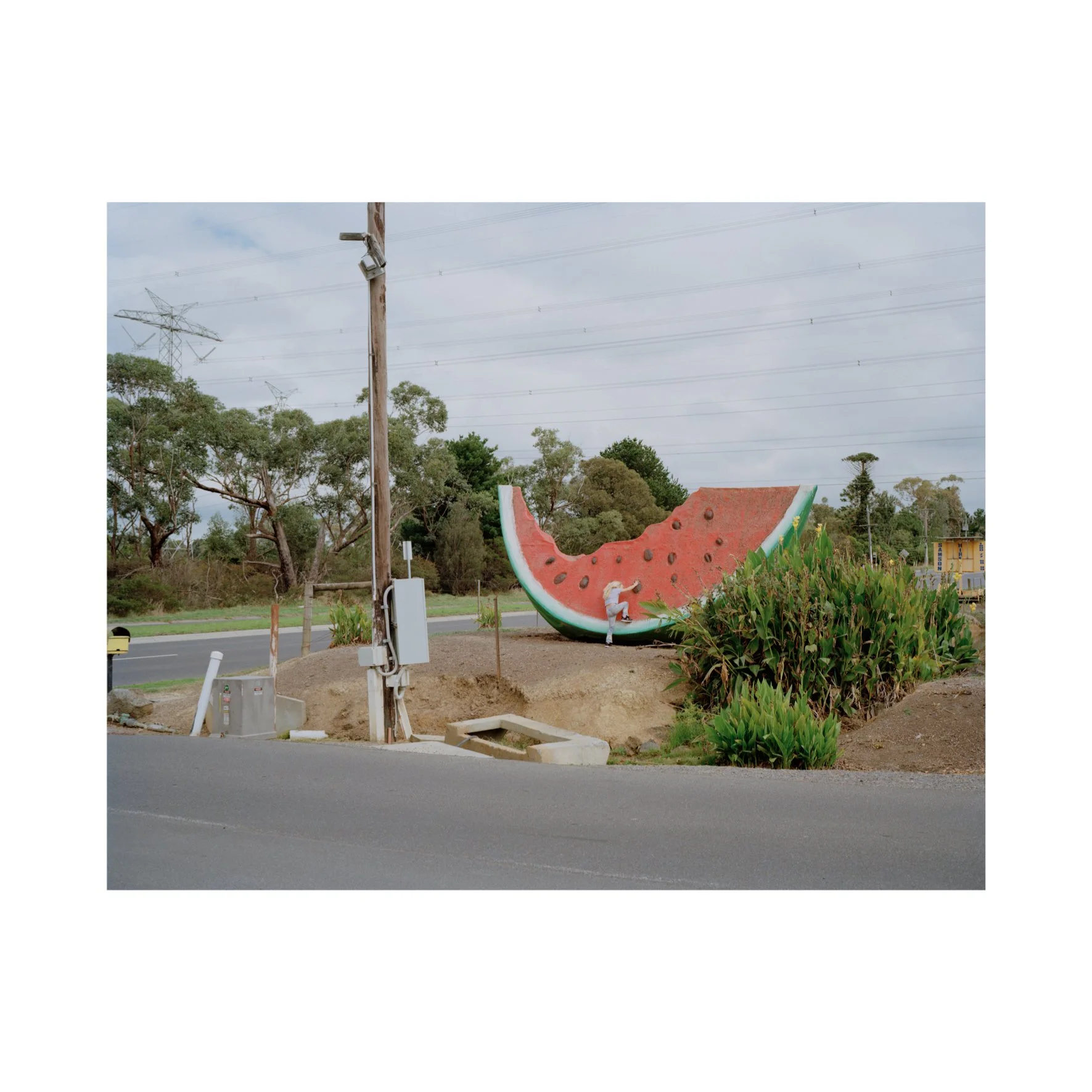 Australian Lustre 21