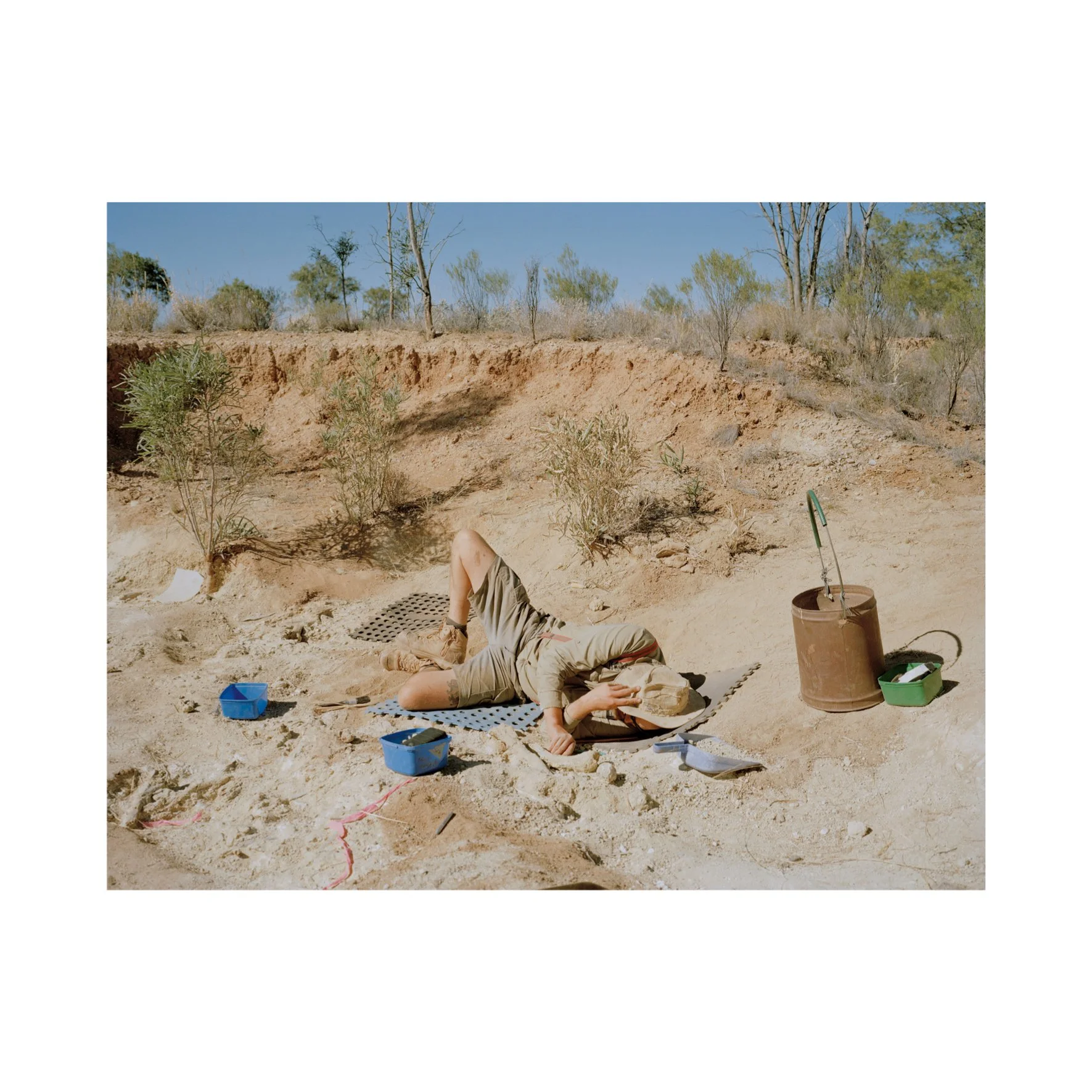 Australian Lustre 32