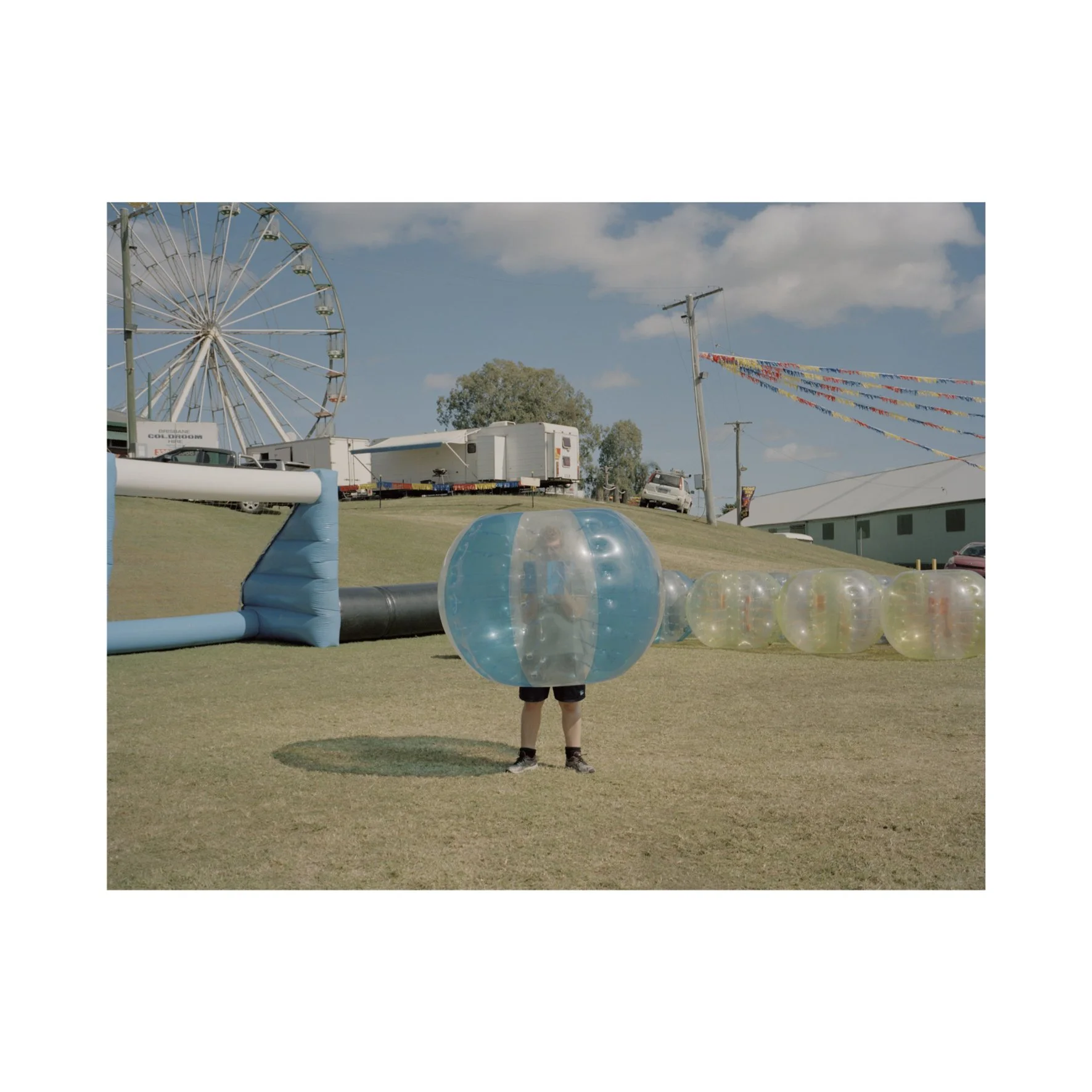 Australian Lustre 12