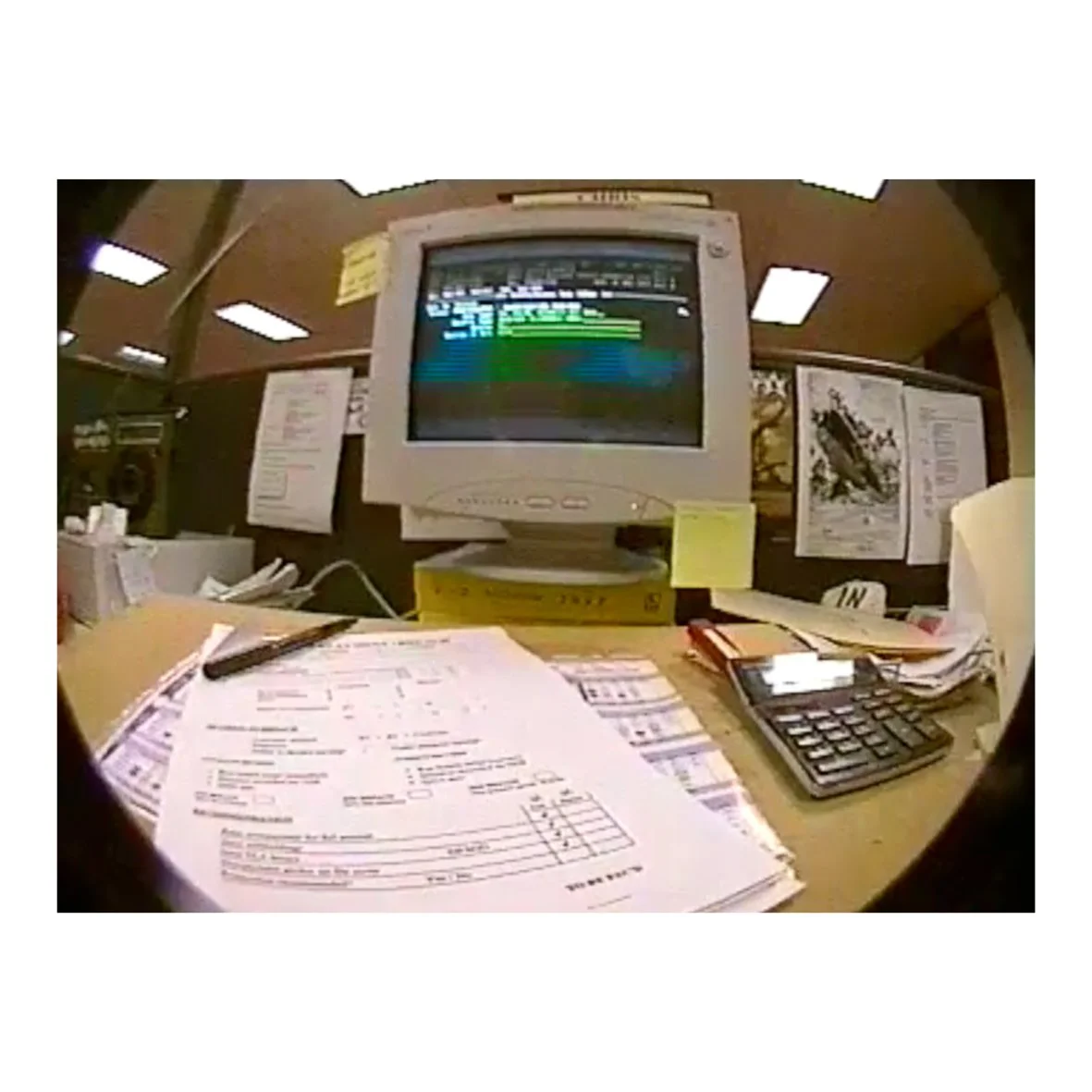 Dept Of Social Security, Frankston, 1995