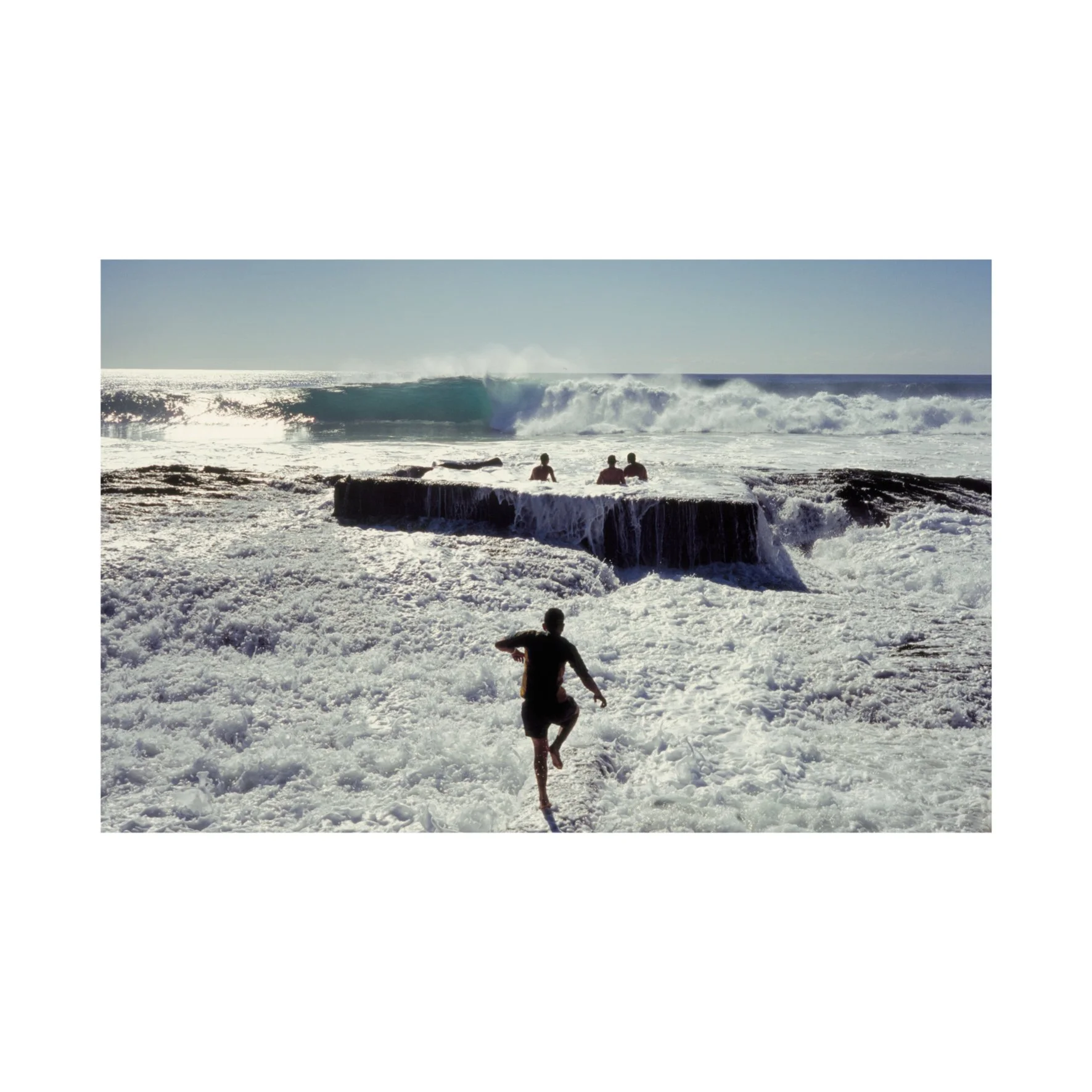 Australian Lustre 31