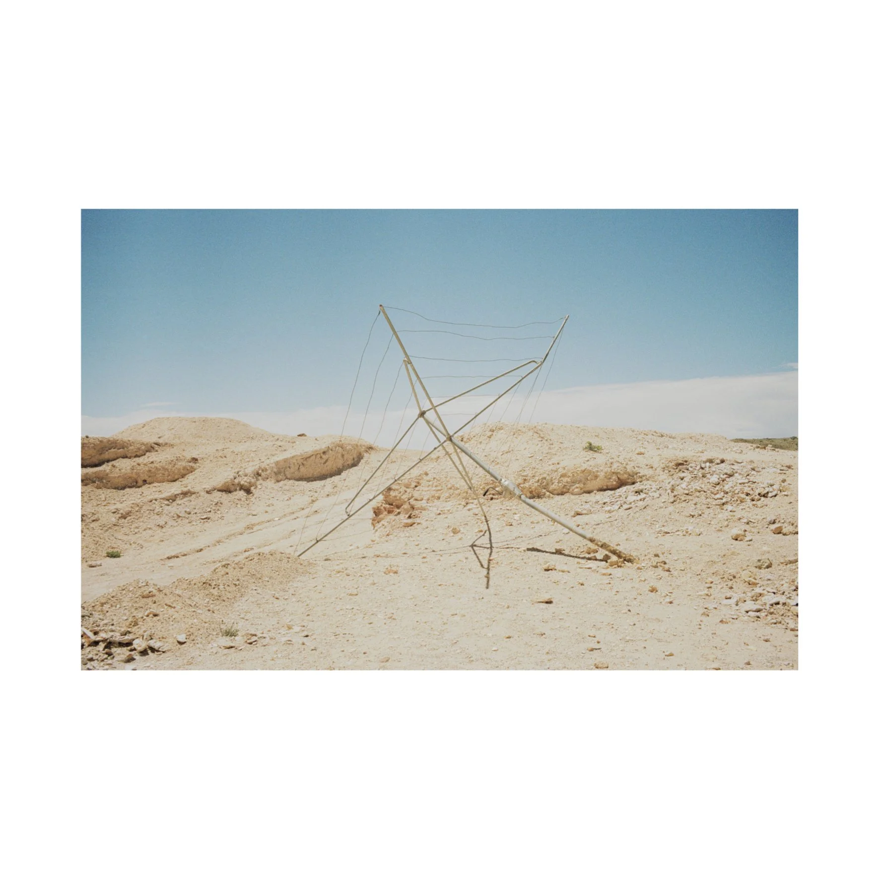 Australian Lustre 49