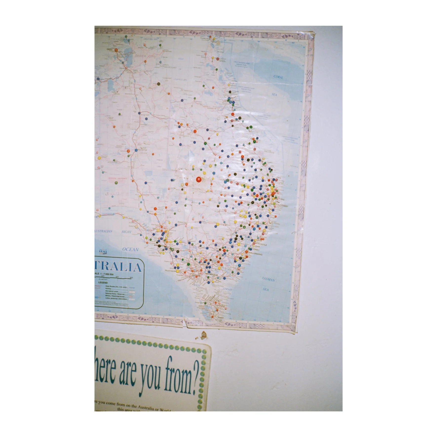 Australian Lustre 42