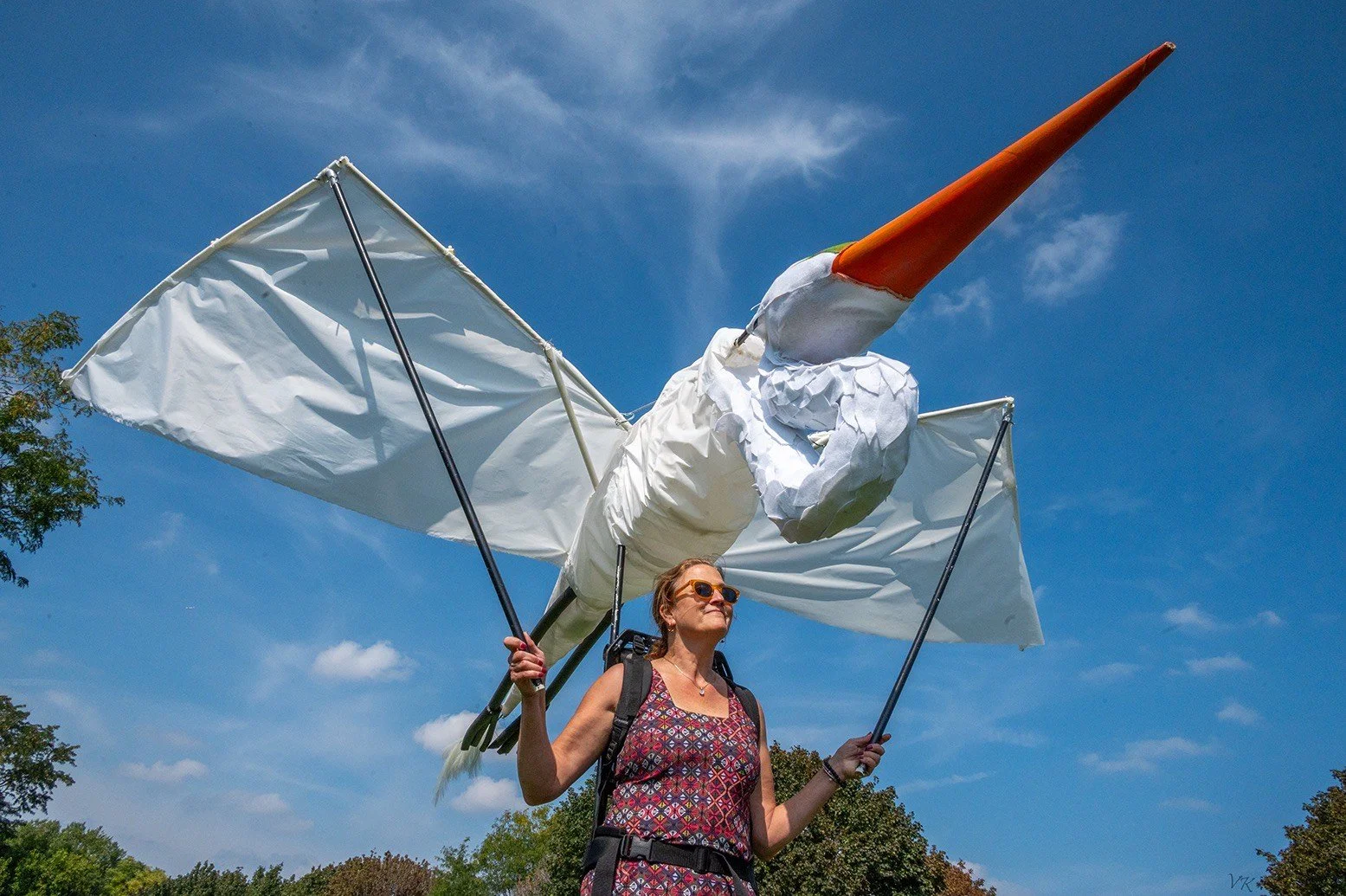 Sun Day Solar Fest Lady With Kite.jpeg