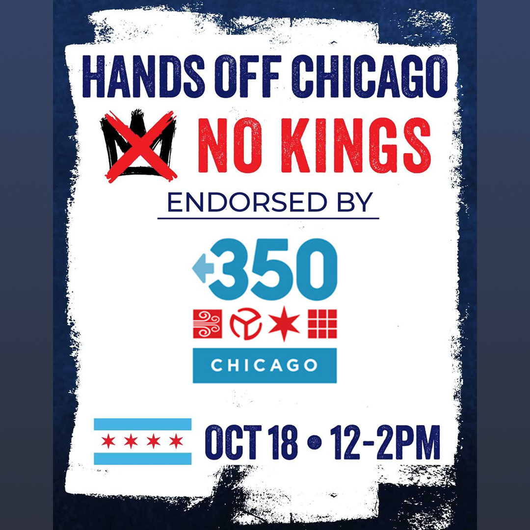 Hands Off Chicago - No Kings