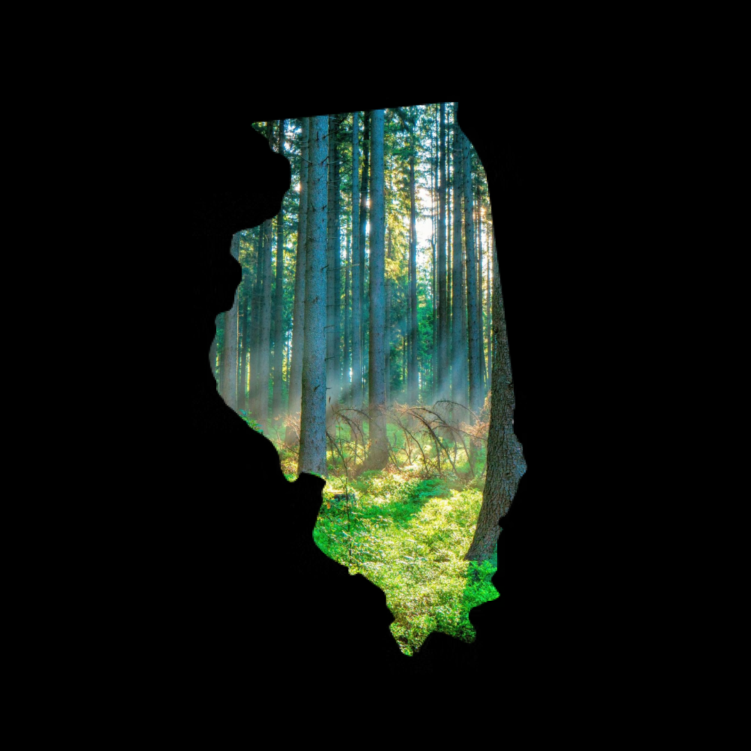 350 Chicago Launches State Divestment Campaign