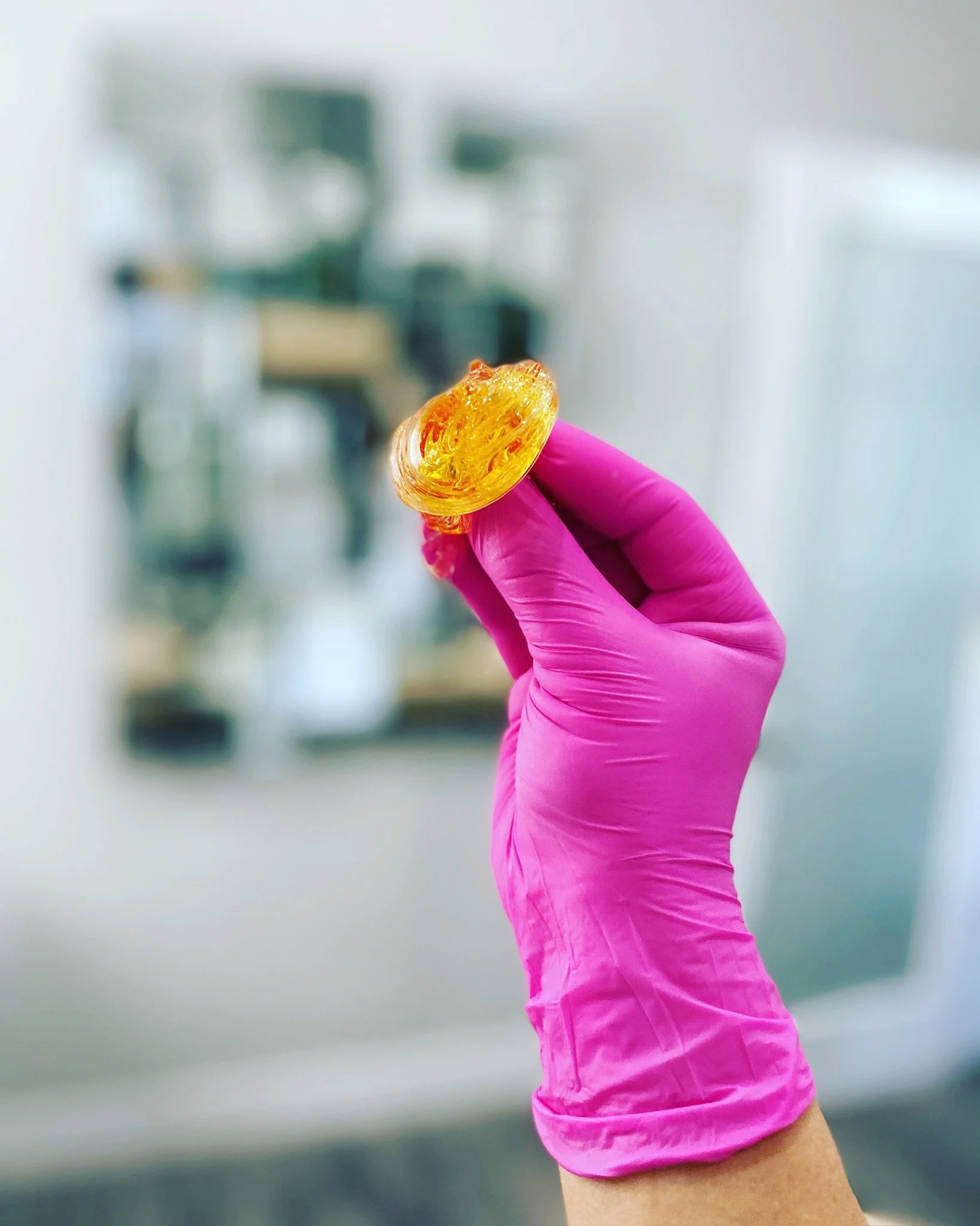 sugar and pink glove.jpeg