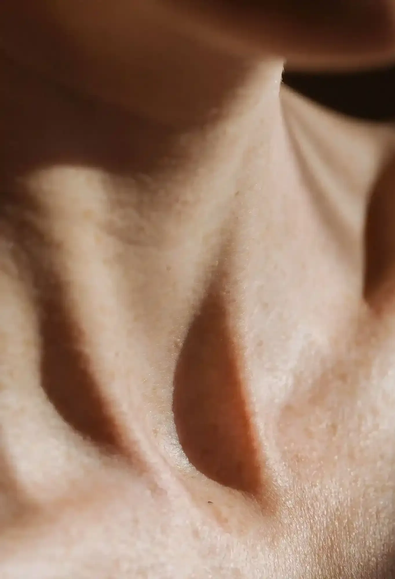 Close up of skin on neck.