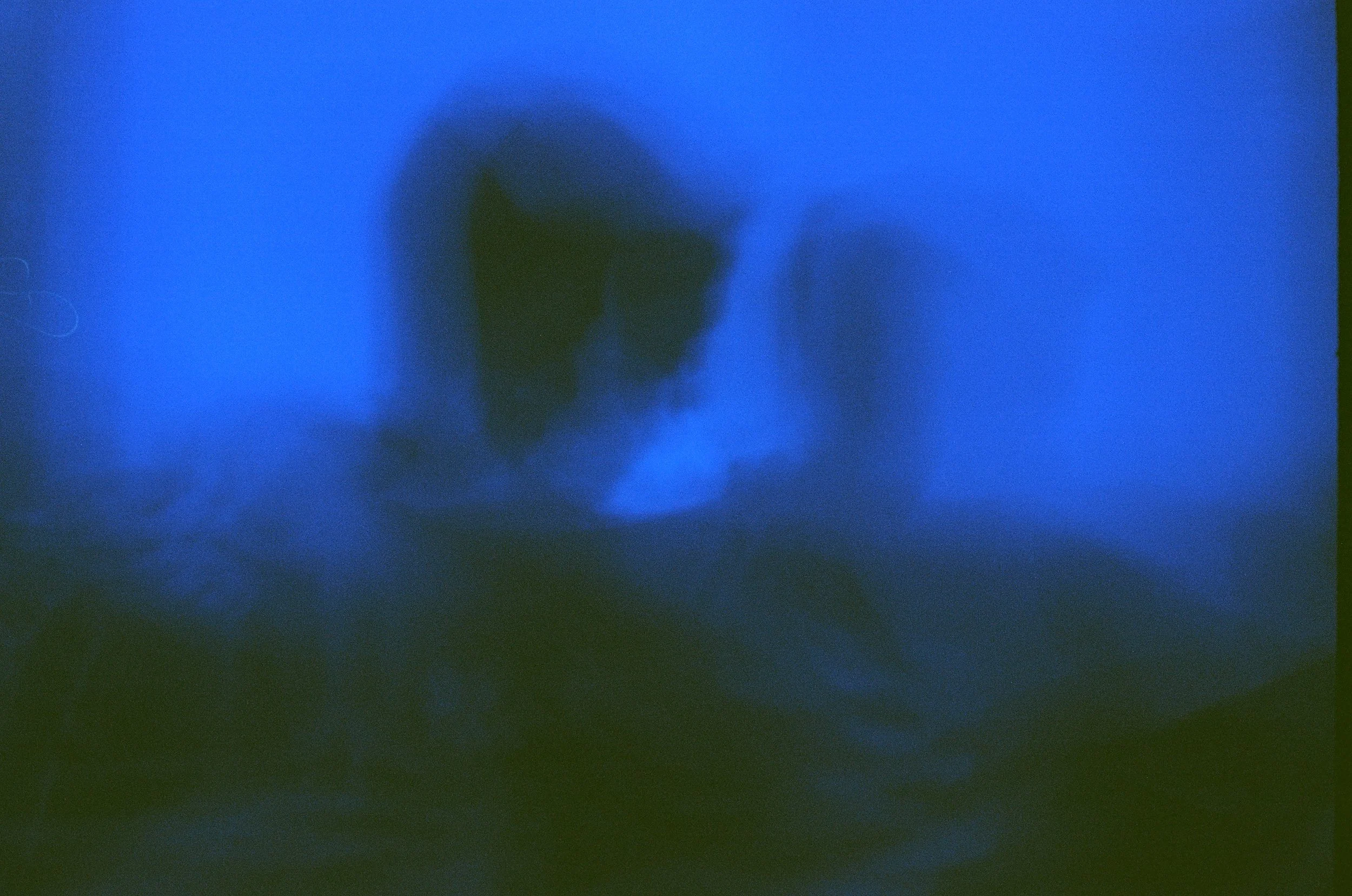 000018190028 2.jpg
