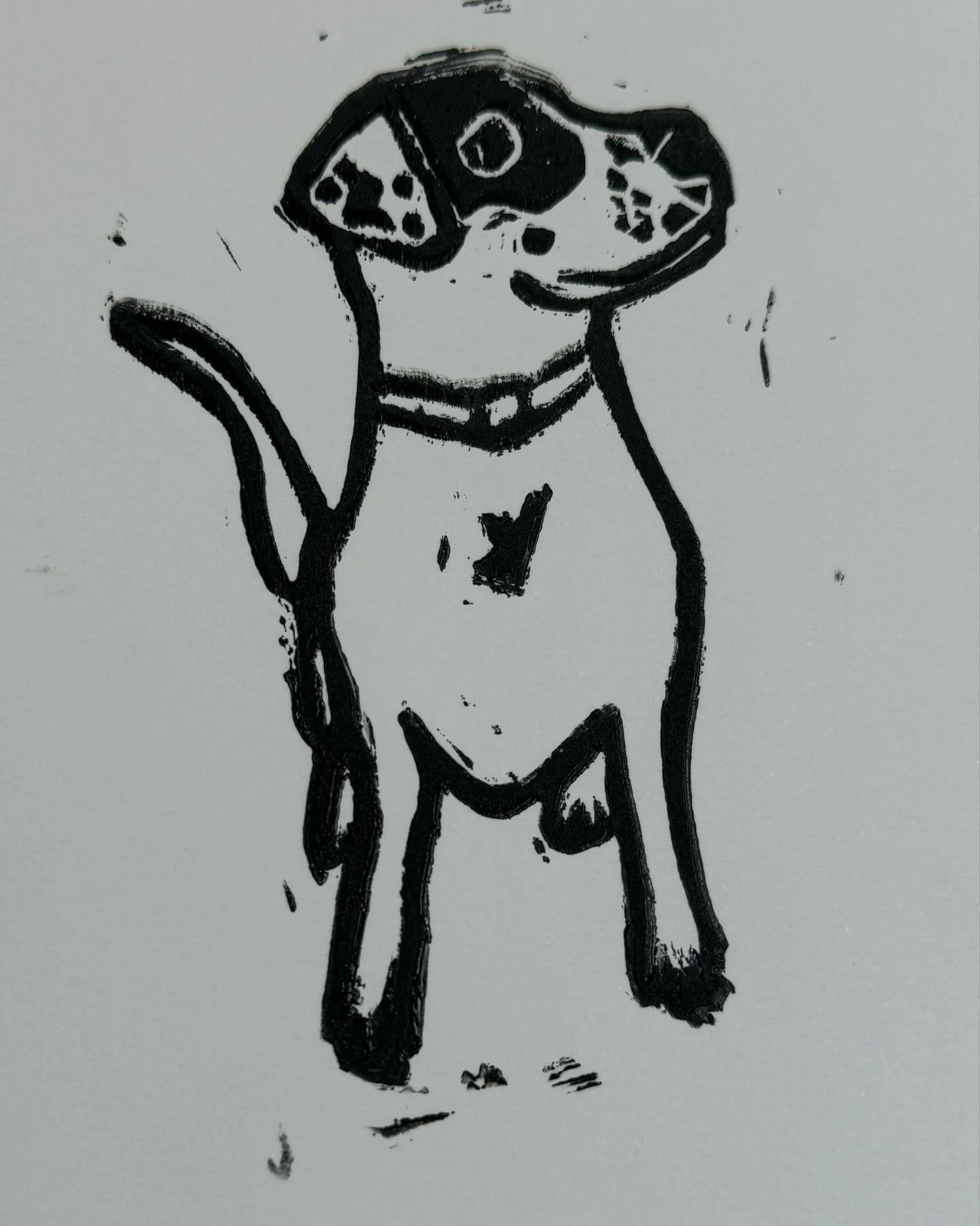 And the logo is born. 😍 Meet the Macaron Bandit and the handsome inspiration behind our name.