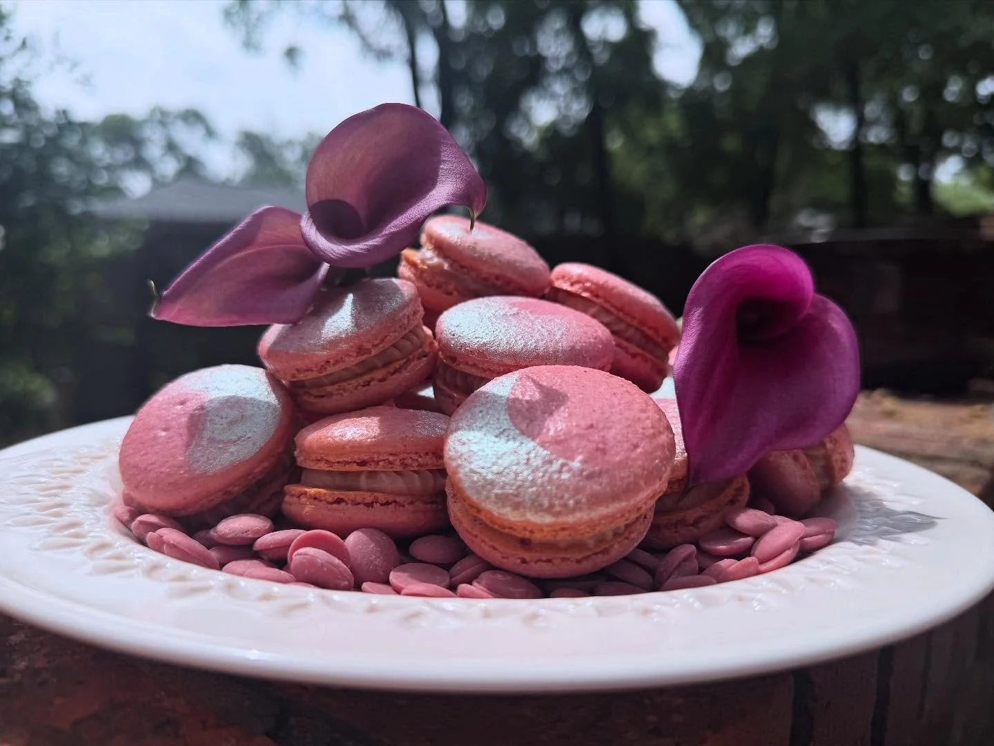Ruby chocolate macarons have been on my to do list for a while! Glad @roxxiegirl and her family love being my taste testers so much. 💕 I forgot to take the after picture once all the cookies disappeared! 😋

Happy Easter!!