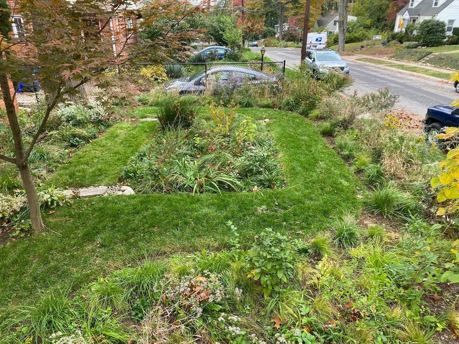 Portfolio | Explore Eco-Friendly Landscapes — Get Inspired — Swamp Rose ...