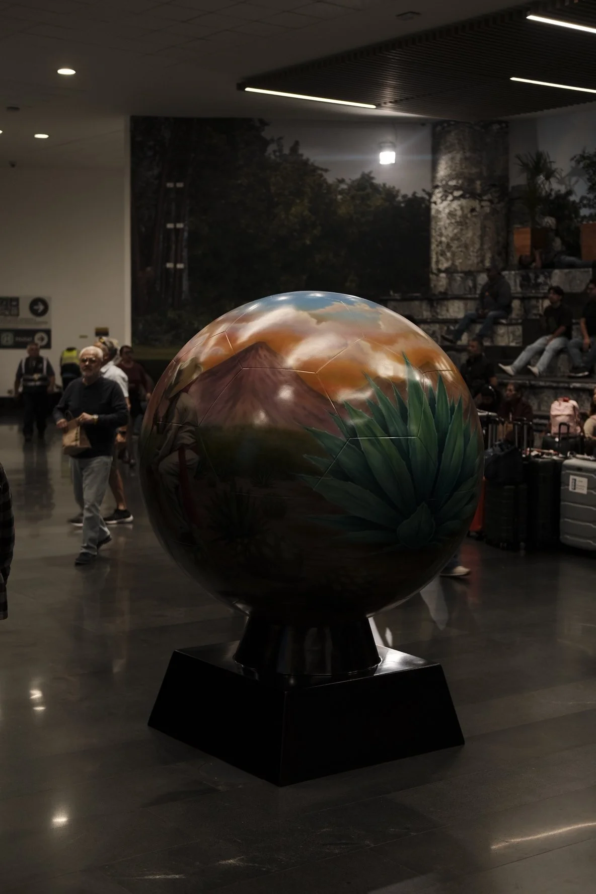_DSF0248.JPG
