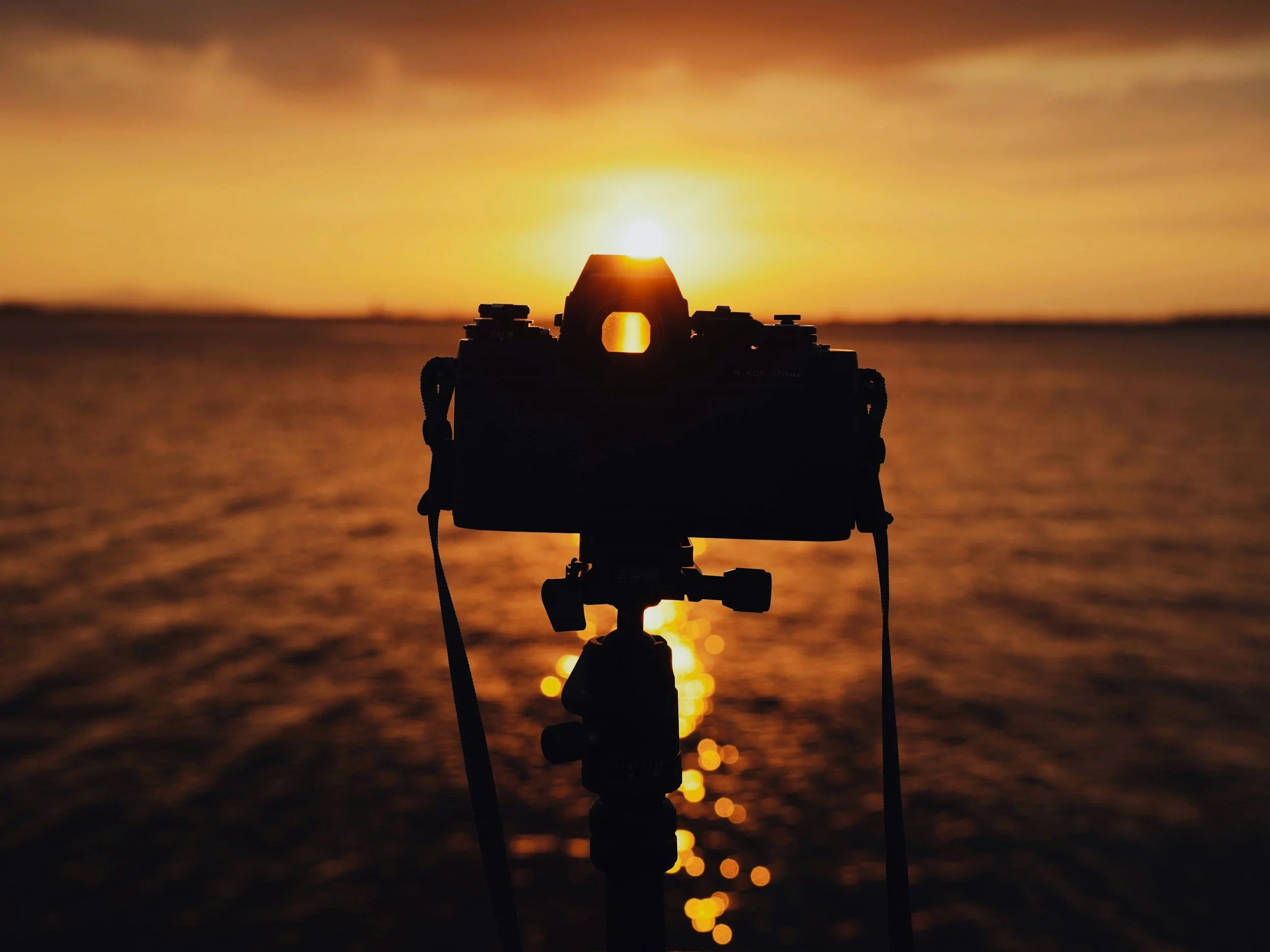 Golden Hour Magic – Outdoor Lifestyle Photography in May