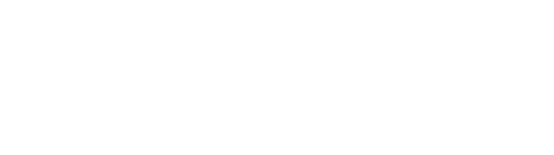 Ladder Financial Solutions