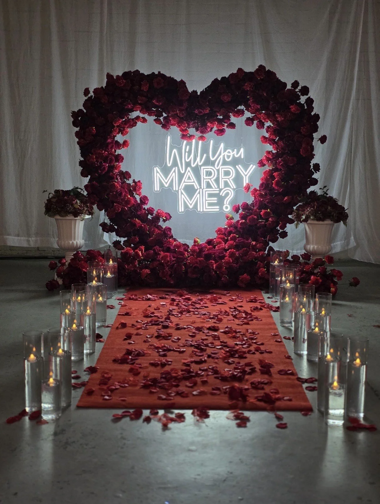 "Will you marry me?" Proposal Backdrop