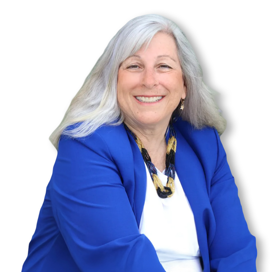 about-lori-goldstein-for-state-representative