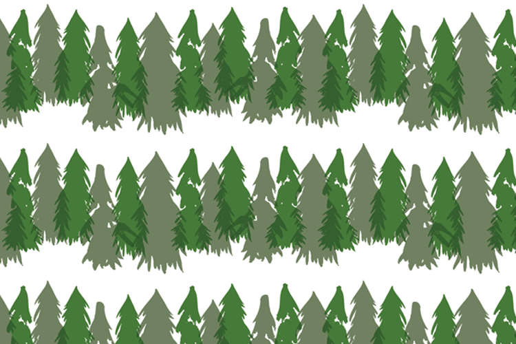 folio-shaggy-evergreens.png